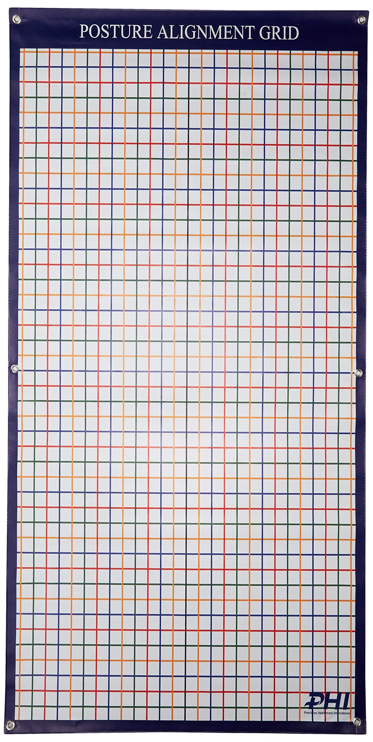 Precision Healthcare Innovations Wall Mounted Color Coded Posture Grid, Matte Finish