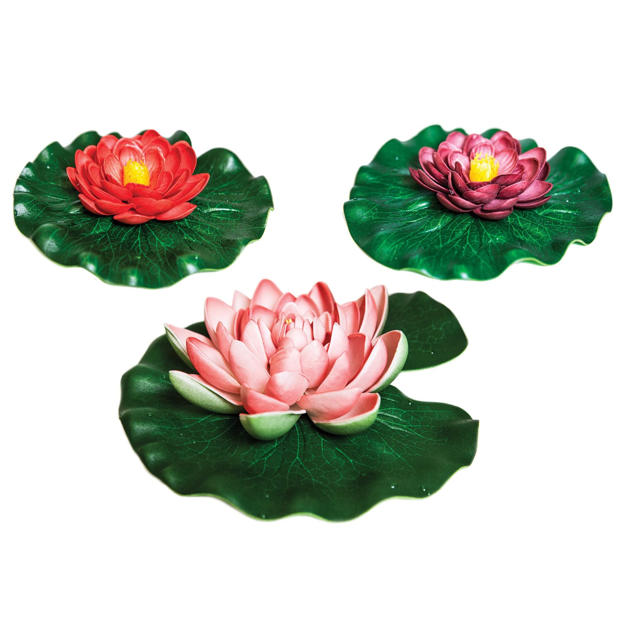Floating Lily Pad Variety Pack