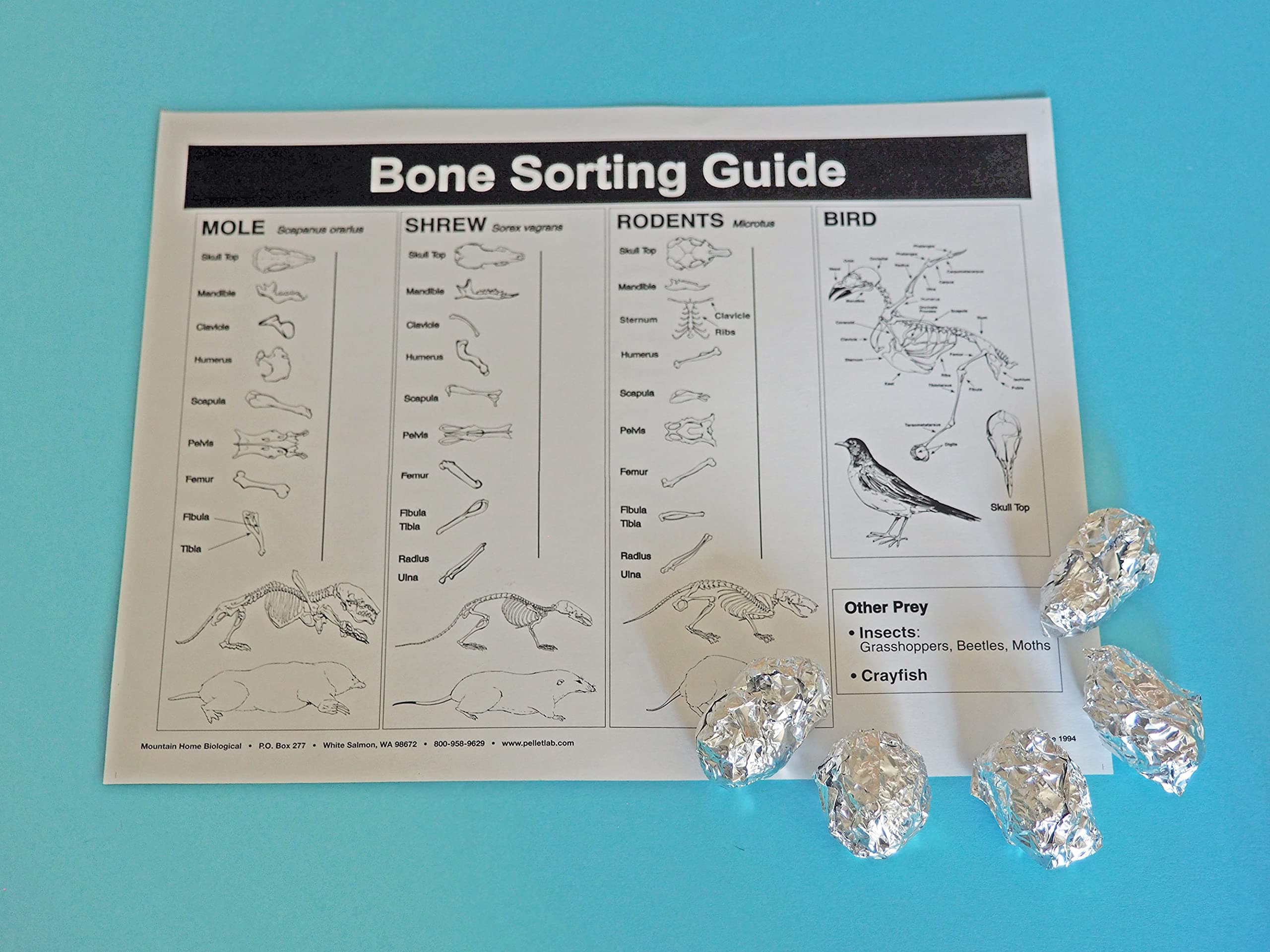 None Kaplan Early Learning Owl Pellets - Set of 5