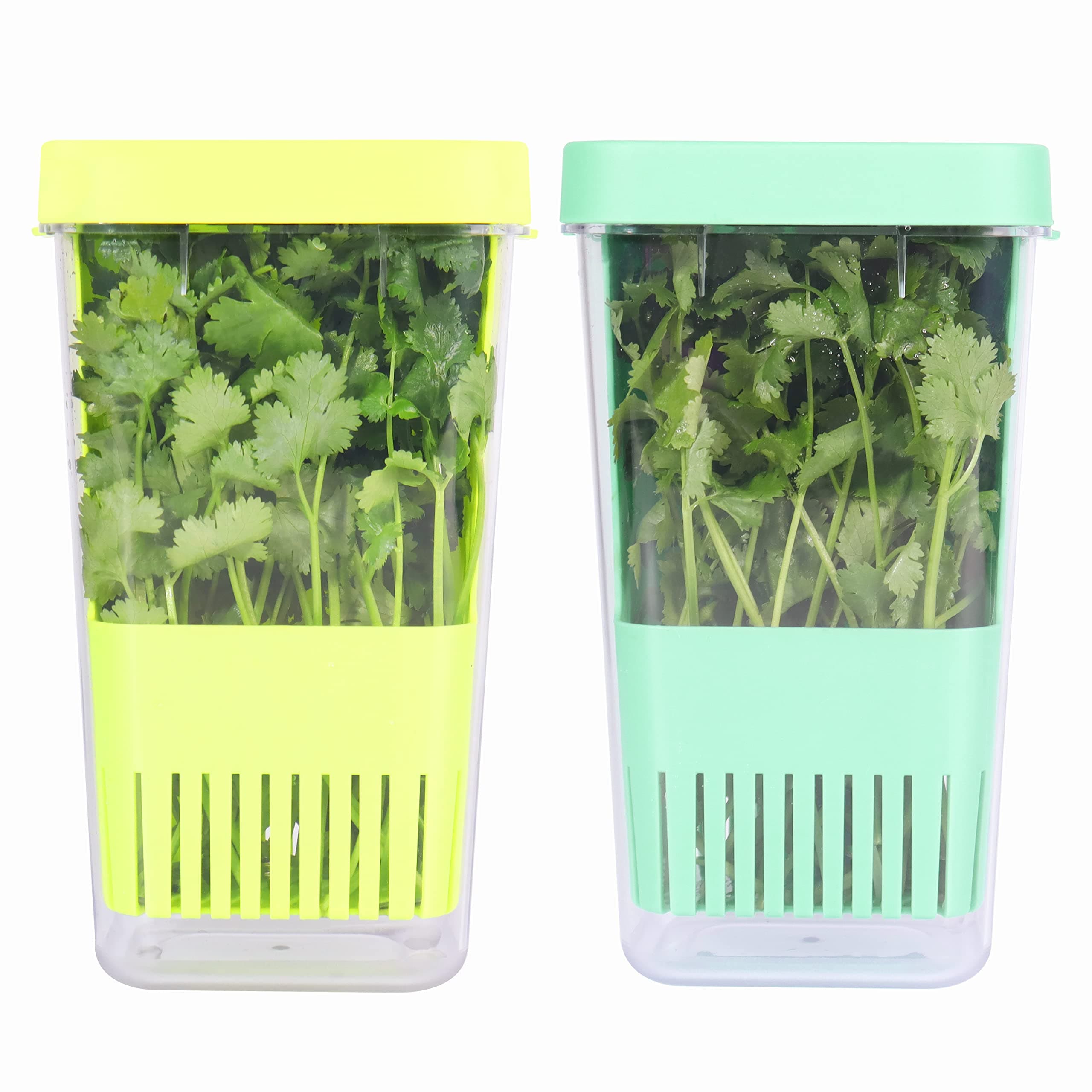 2 Pack Herb Keeper, BPA-Free Plastic Herb Saver with an Inner Basket for Cilantro, Mint, Parsley, and Asparagus, Keeps Fresh Herbs for 3 Times Longer