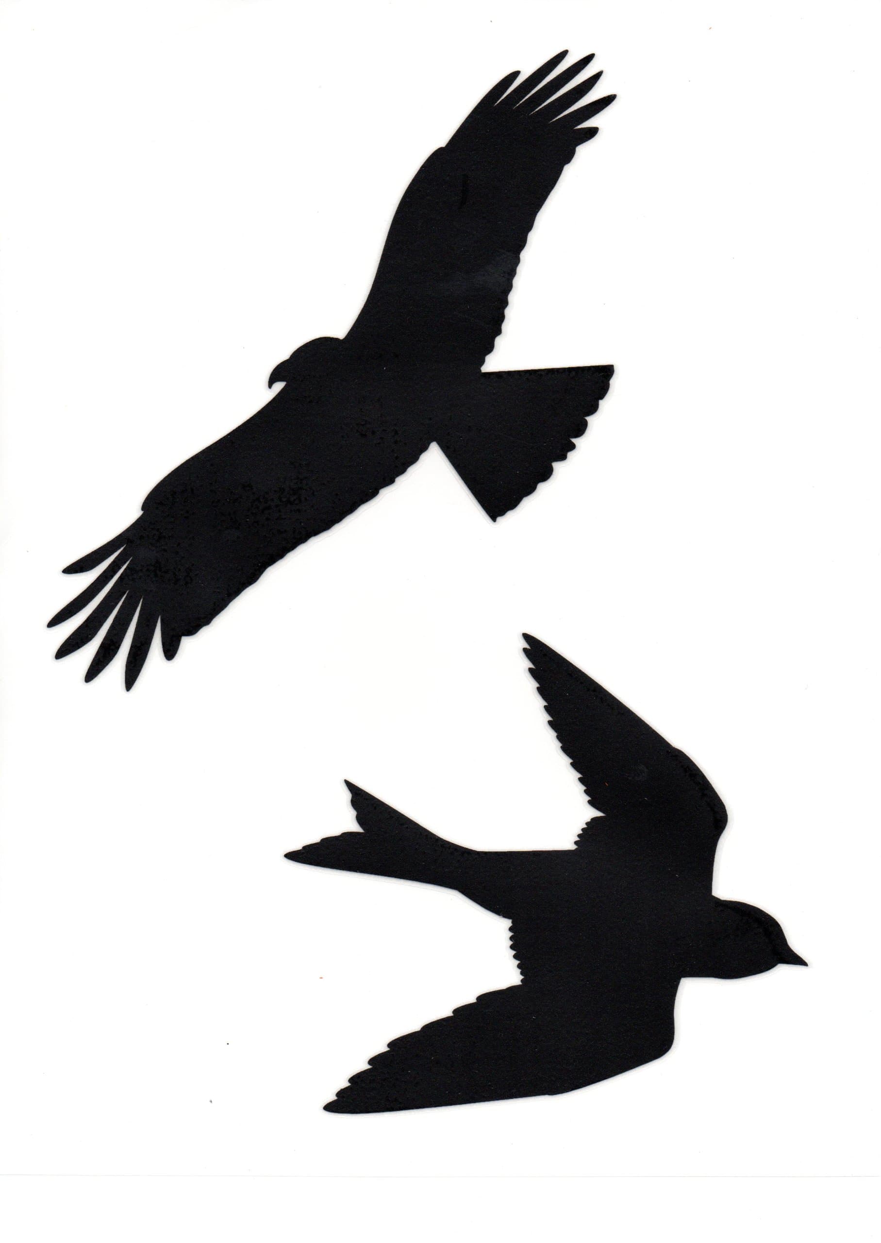 Bird Silhouette Window Stickers