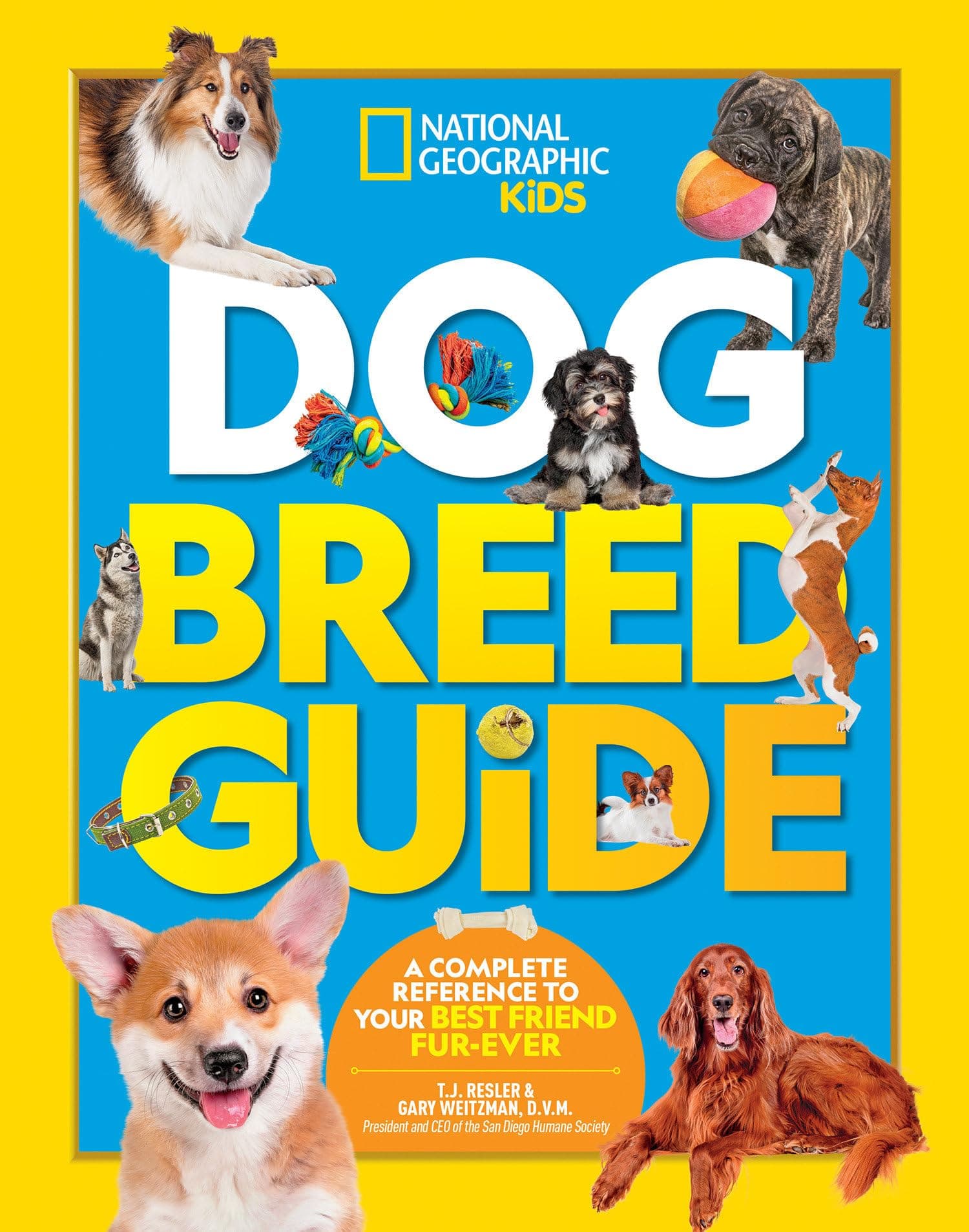 Dog Breed Guide: A complete reference to your best friend fur-ever Hardcover – Illustrated, 3 September 2019
