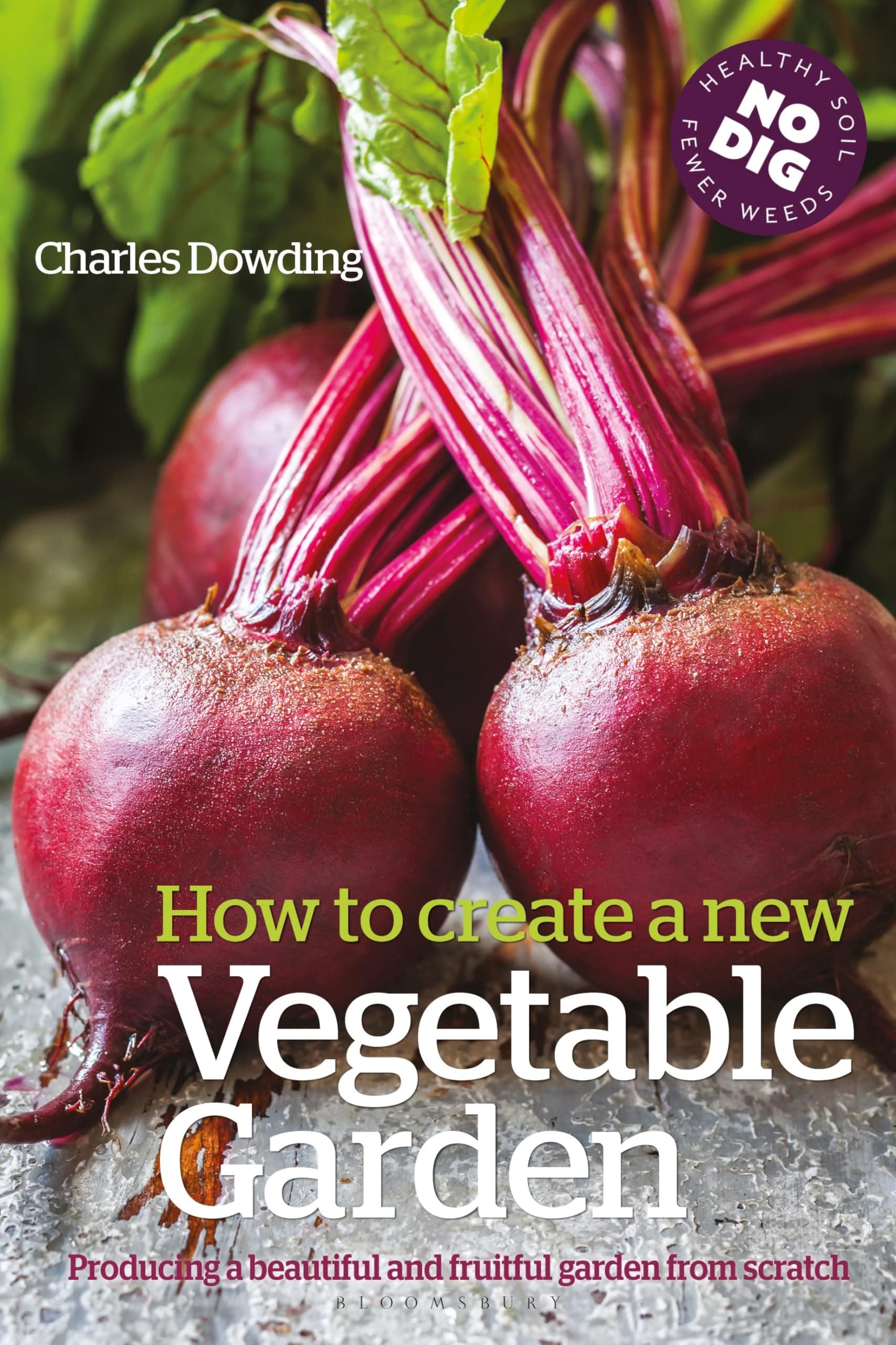 How to Create a New Vegetable Garden: Producing a beautiful and fruitful garden from scratch Hardcover – February 12, 2015