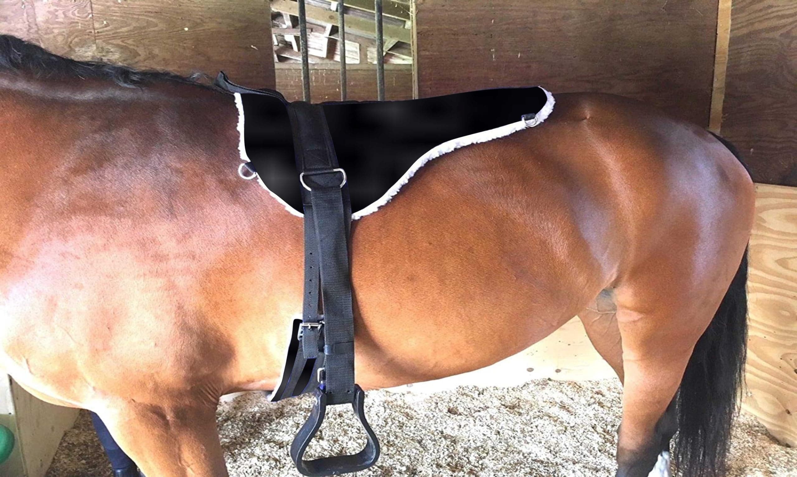Blessing Premium Horse Bare Back pad with striuups (Normal, Black)