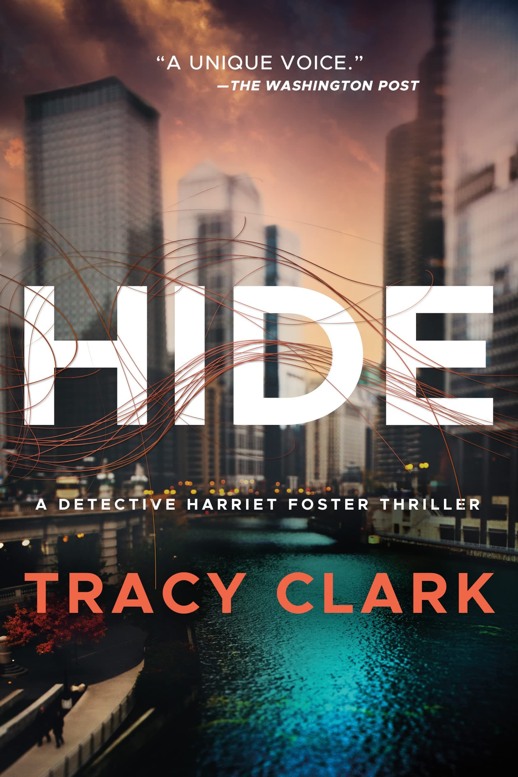 Hide: Detective Harriet Foster, Book 1