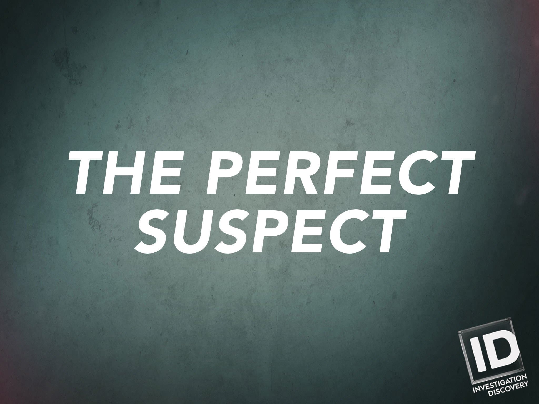 The Perfect Suspect Season 1