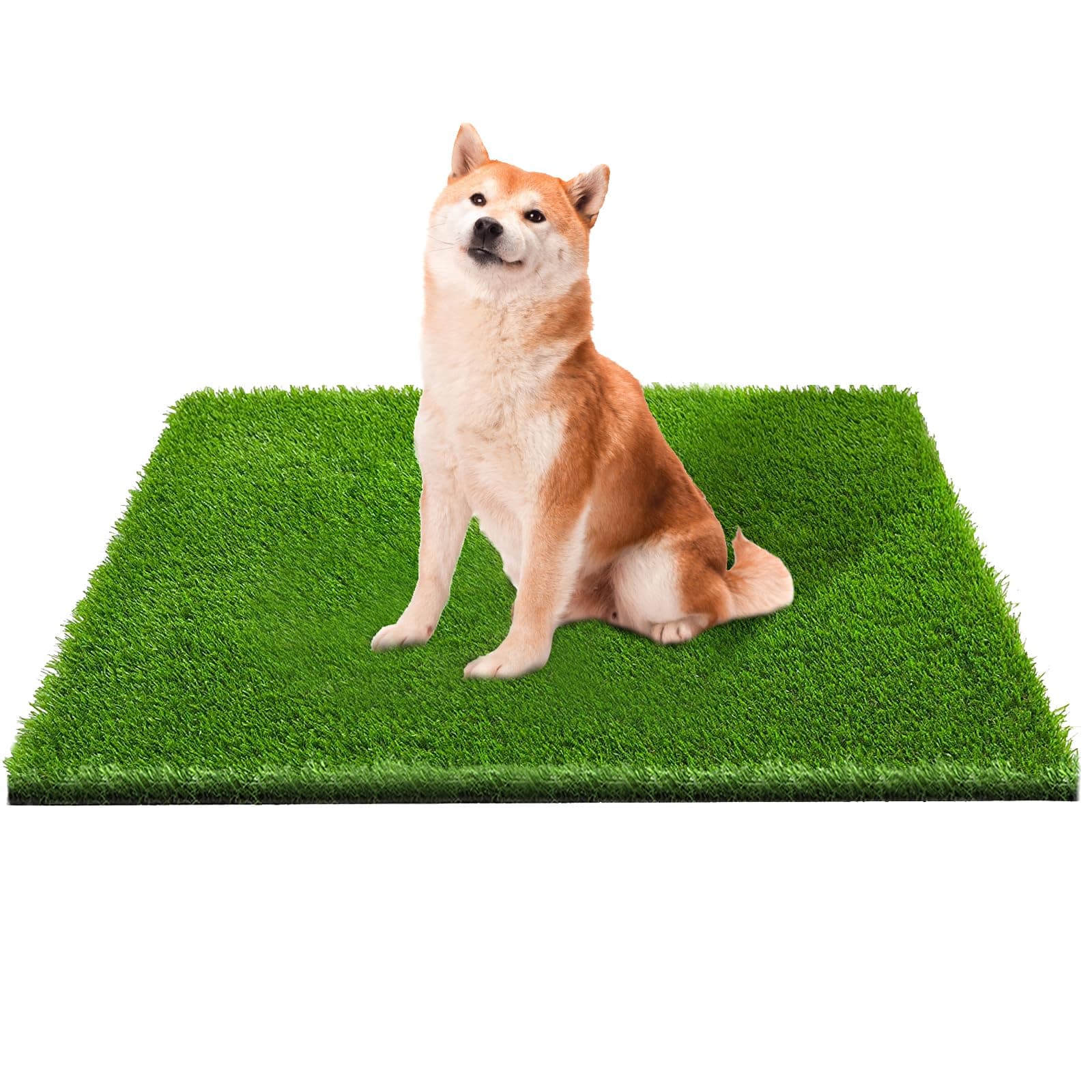 CooZero Artificial Grass, Professional Dog Grass Mat, Potty Training Rug and Replacement Turf Outdoor Rug Patio Lawn Decoration, Easy to Clean with Drainage (39.4 x 31.5 inch)