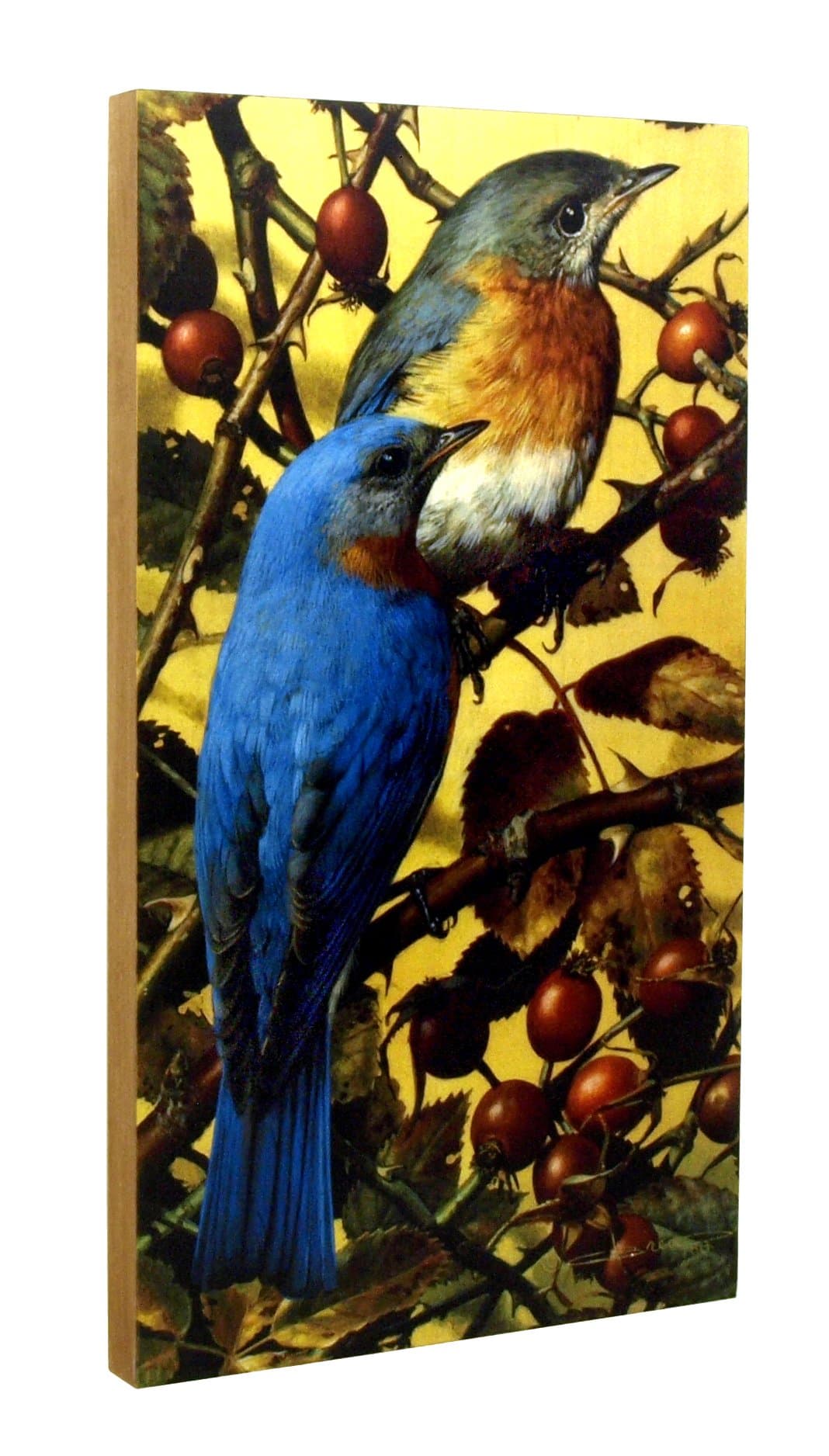 Walnut Hollow Ingrained Art Blue Birds on Solid Basswood Panel Wall Décor with Golden Pecan Edges by Carl Brenders, 8 by 14-Inch