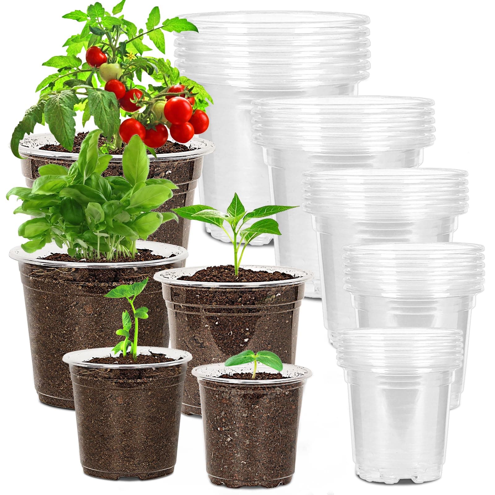 30 Pack 3.5/4/5/6/7 Inch Clear Nursery Pots with Drainage Holes, Transparent Plastic Pots for Plants, Reinforced Seed Starter Pots Flower Pots