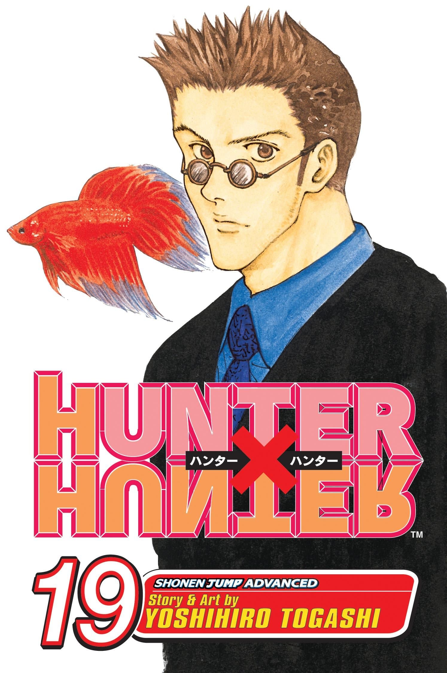 Hunter x Hunter, Vol. 19: N.G.L.: Volume 19