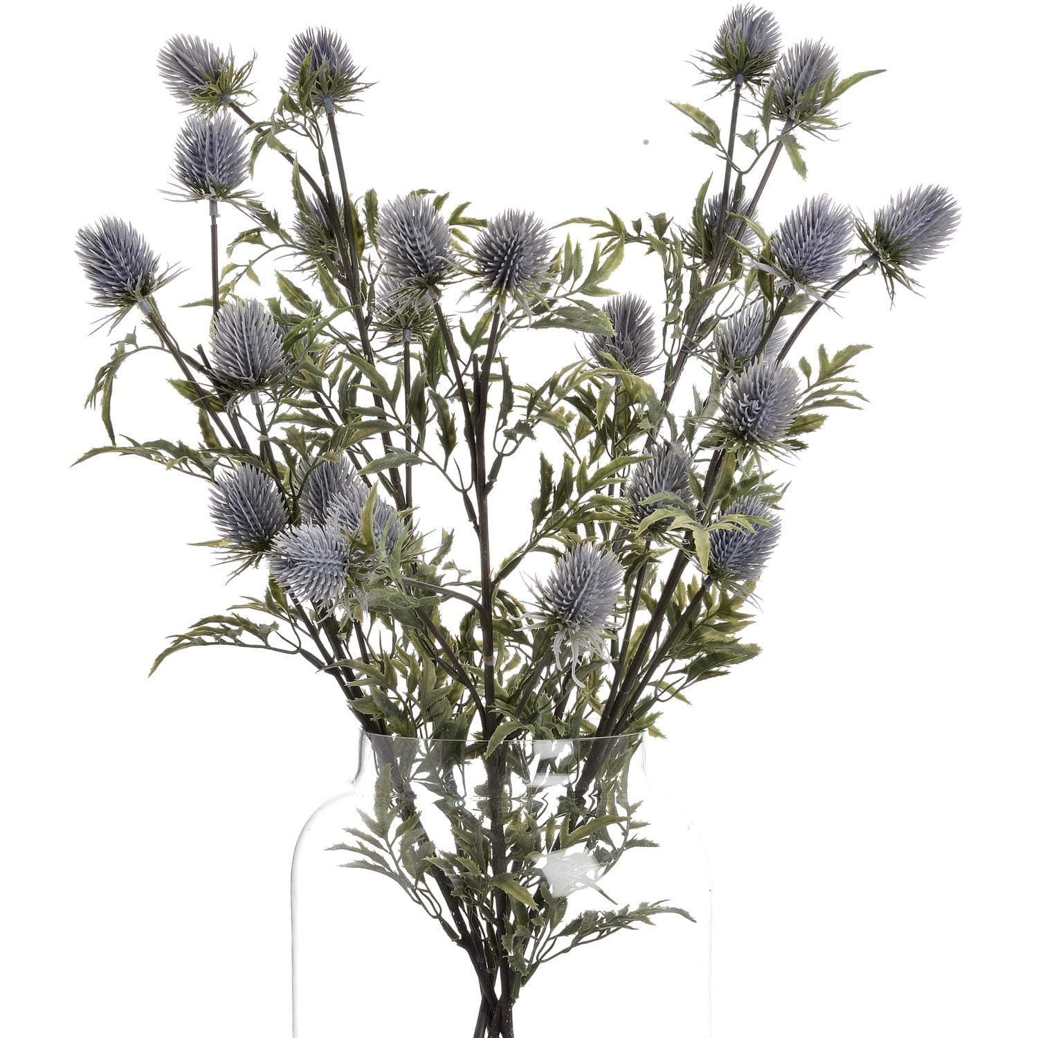The Recipe Eryngium Blue Thistle