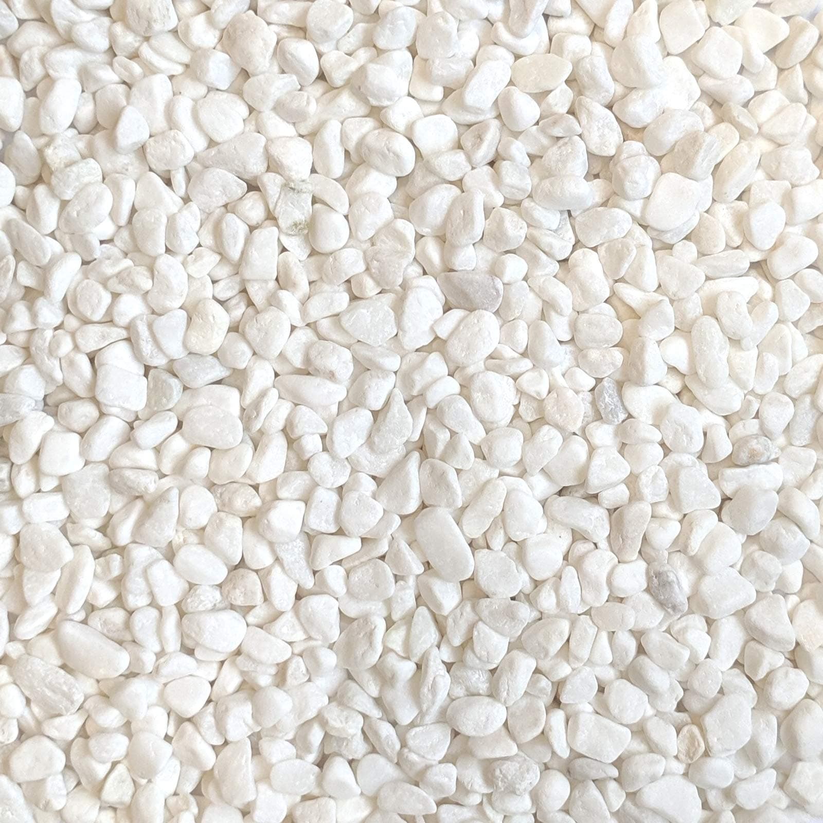 Decorative White Bean Pebbles 1/5" Size (5-lb Bag)
