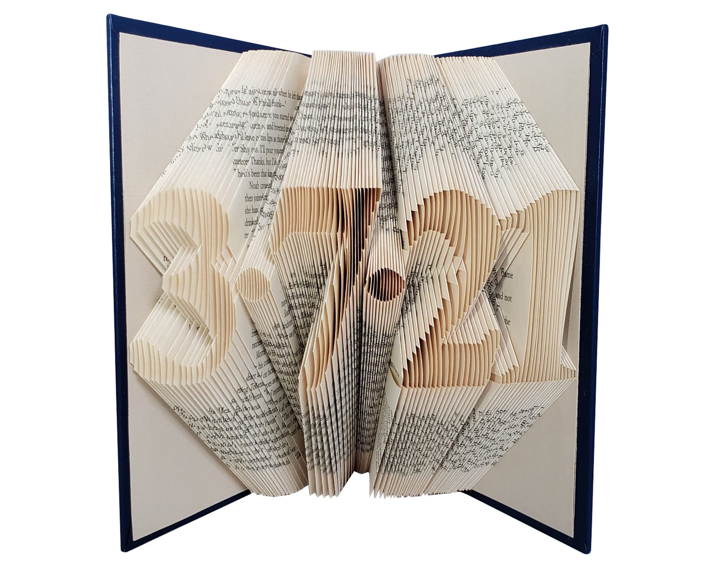 Paper Anniversary Gift Folded Book Art