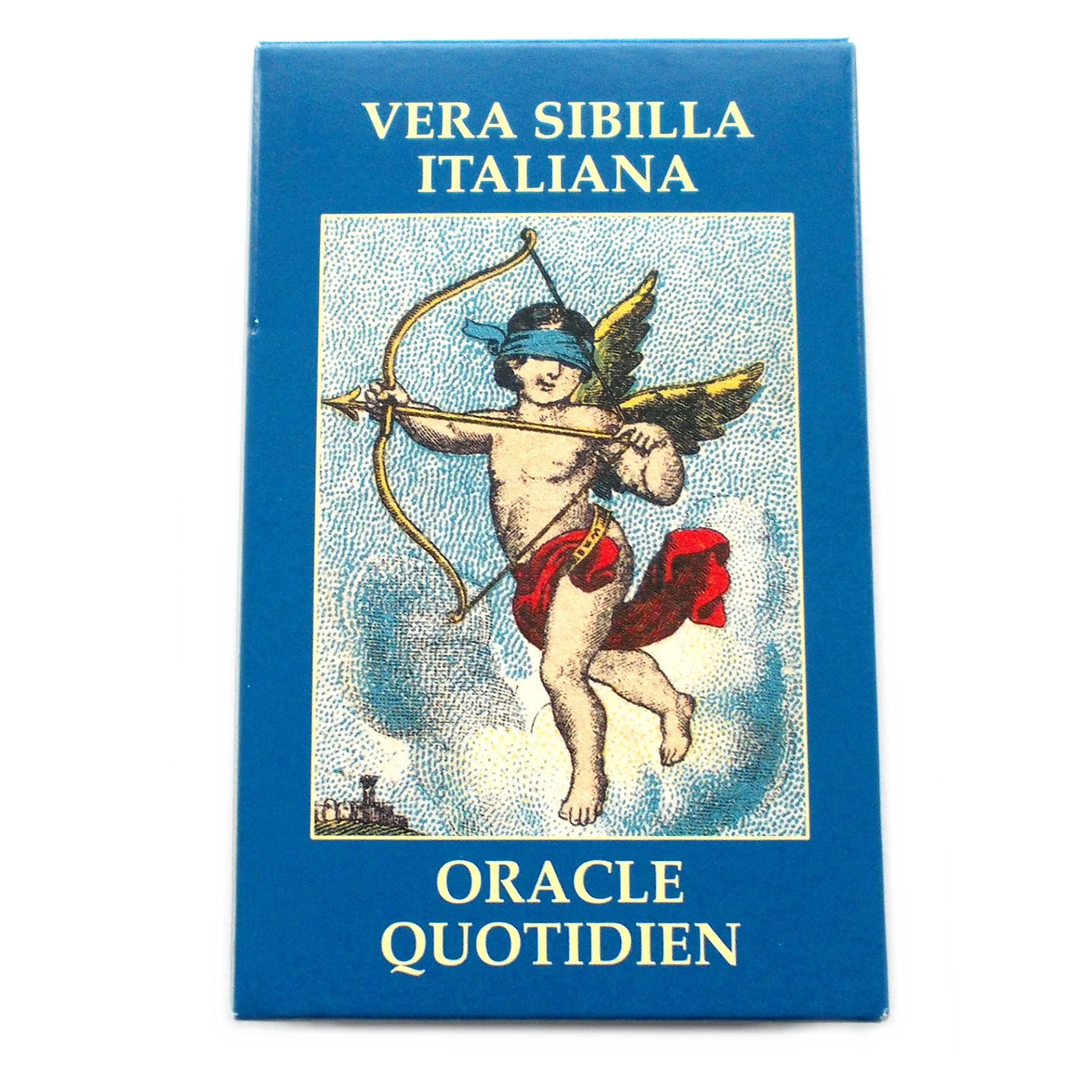 Every Day Oracle Fortune Telling Cards, 52 Cards Deck with Multilingual Instructions