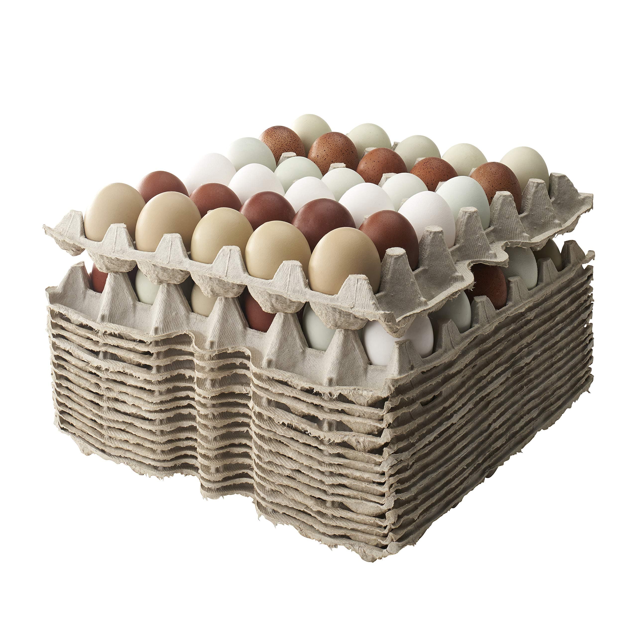 Egg Flats (Bulk Pack of 15) fits Small - Extra Large Chicken Eggs : Each Biodegradable Egg Crate Flat Holds 30 Eggs
