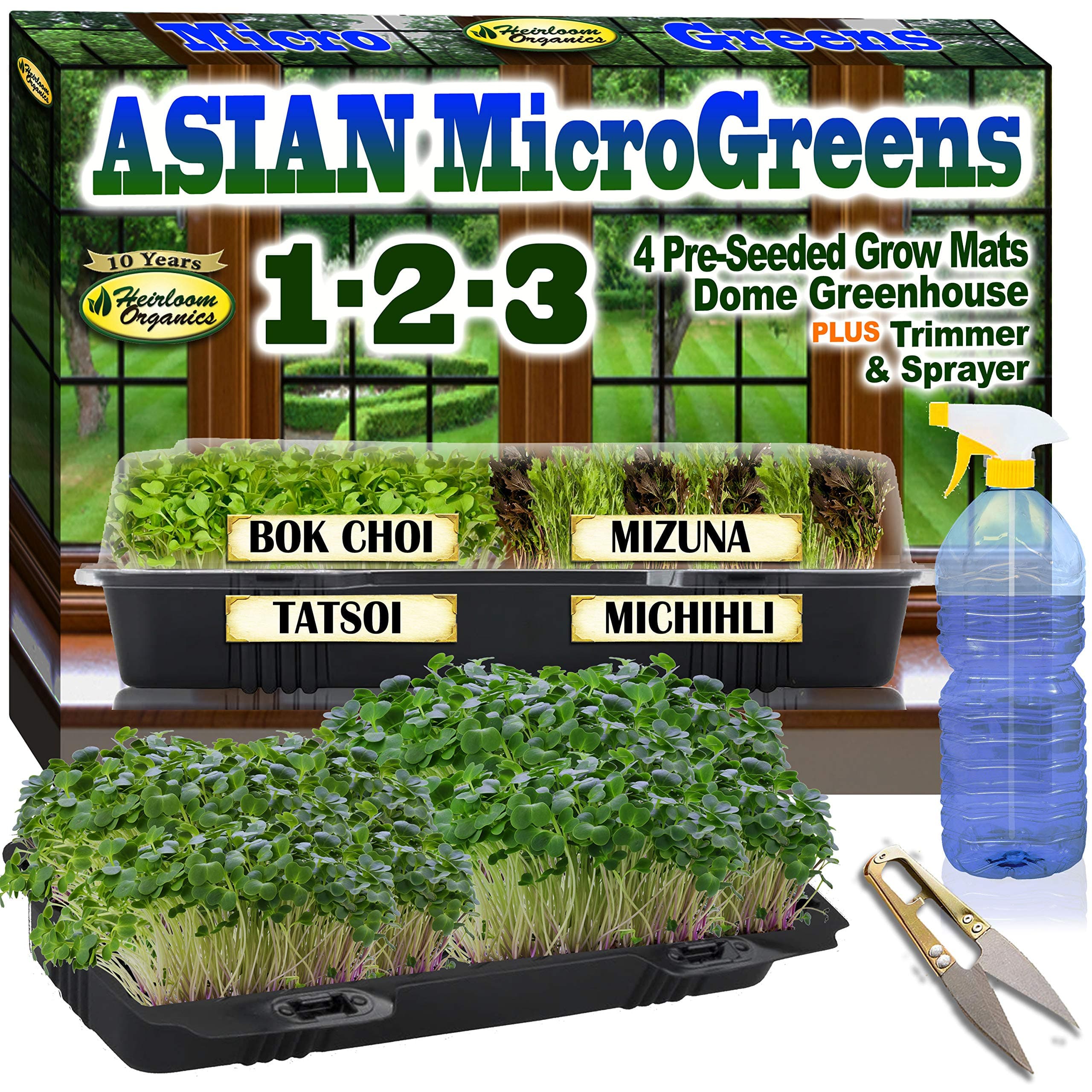 Asian Microgreens 1-2-3! Complete Windowsill Mini-Greenhouse Micro-Greens Kit