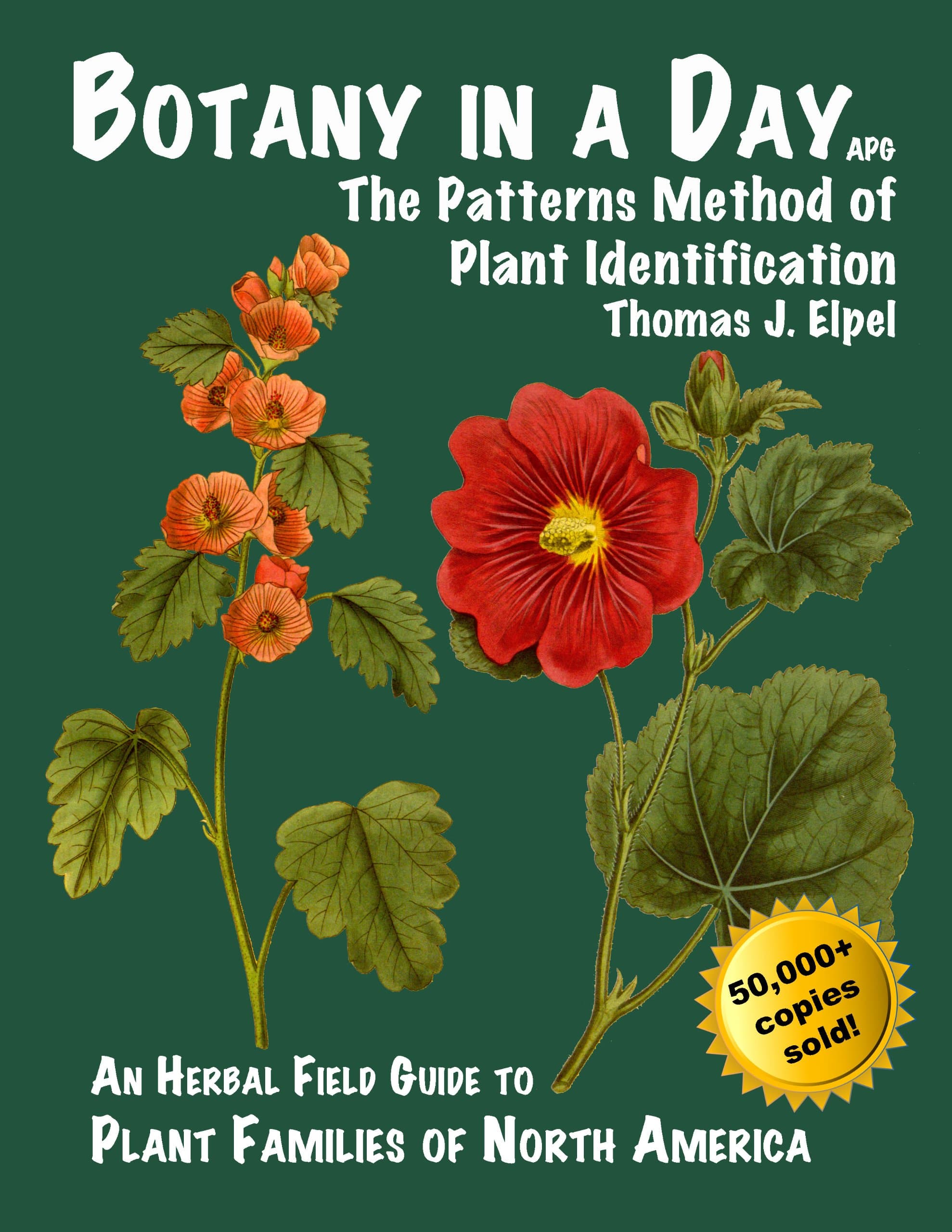 Botany in a Day: The Patterns Method of Plant Identification: An Herbal Field Guide to Plant Families of North America