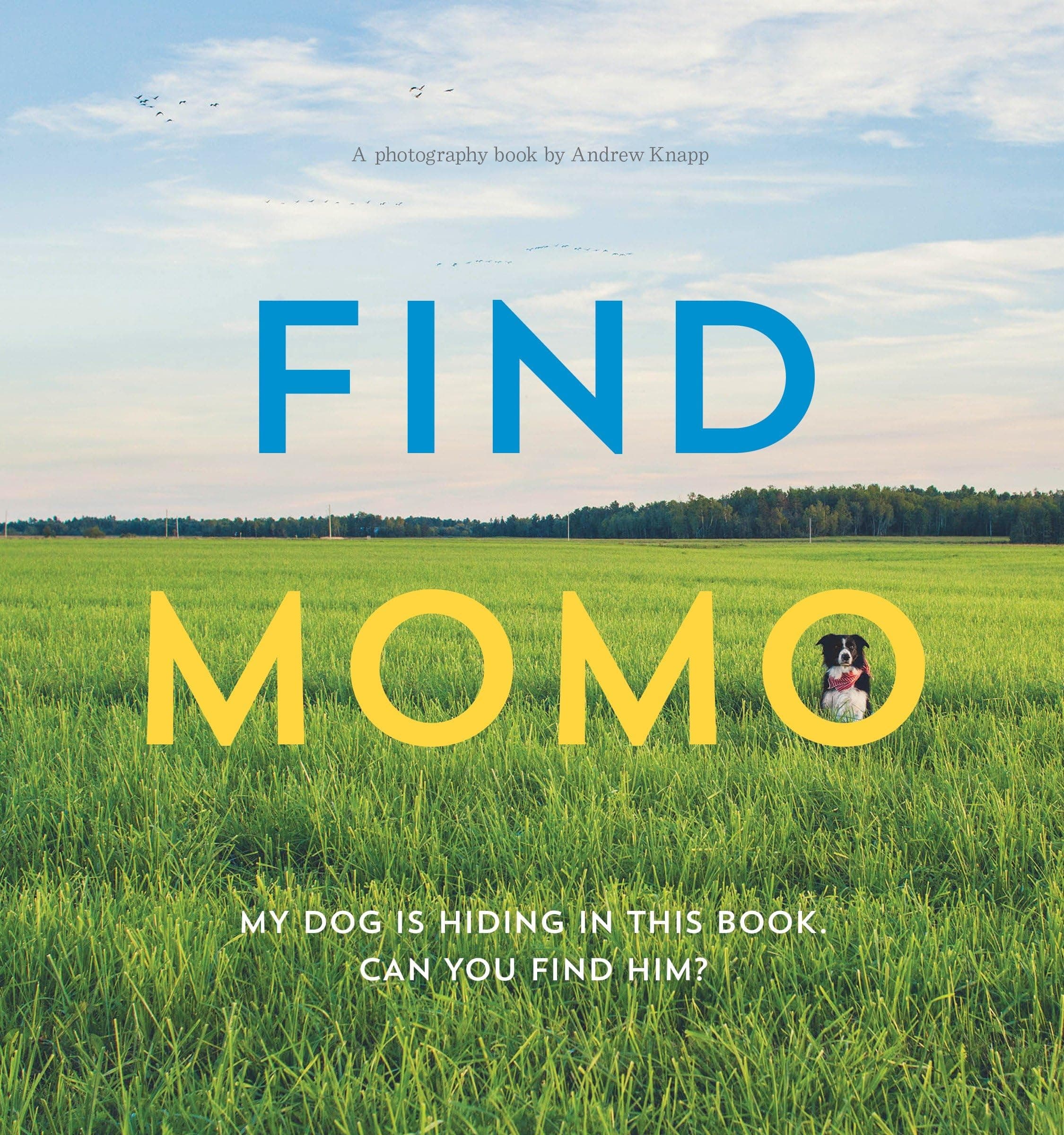 Find Momo: A Photography Book