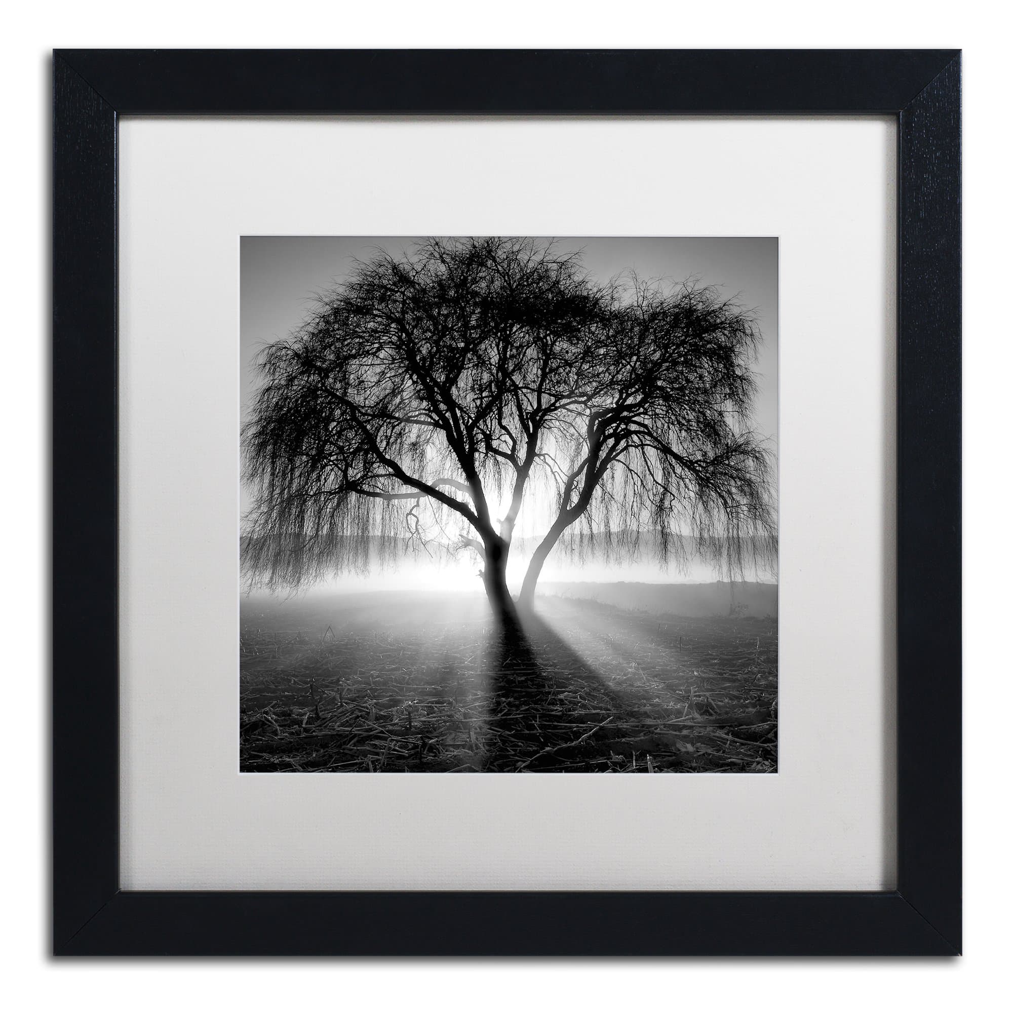 Framed Wall Art - Moises Levy 'Lightning Tree I' Wall Decor with Matted Frame by Trademark Fine Art