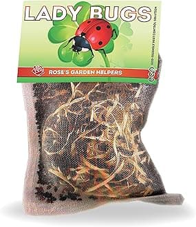 Pre-Fed Live Ladybugs for Aphid Control | Hippodamia Convergens | Mesh Bag (6000)