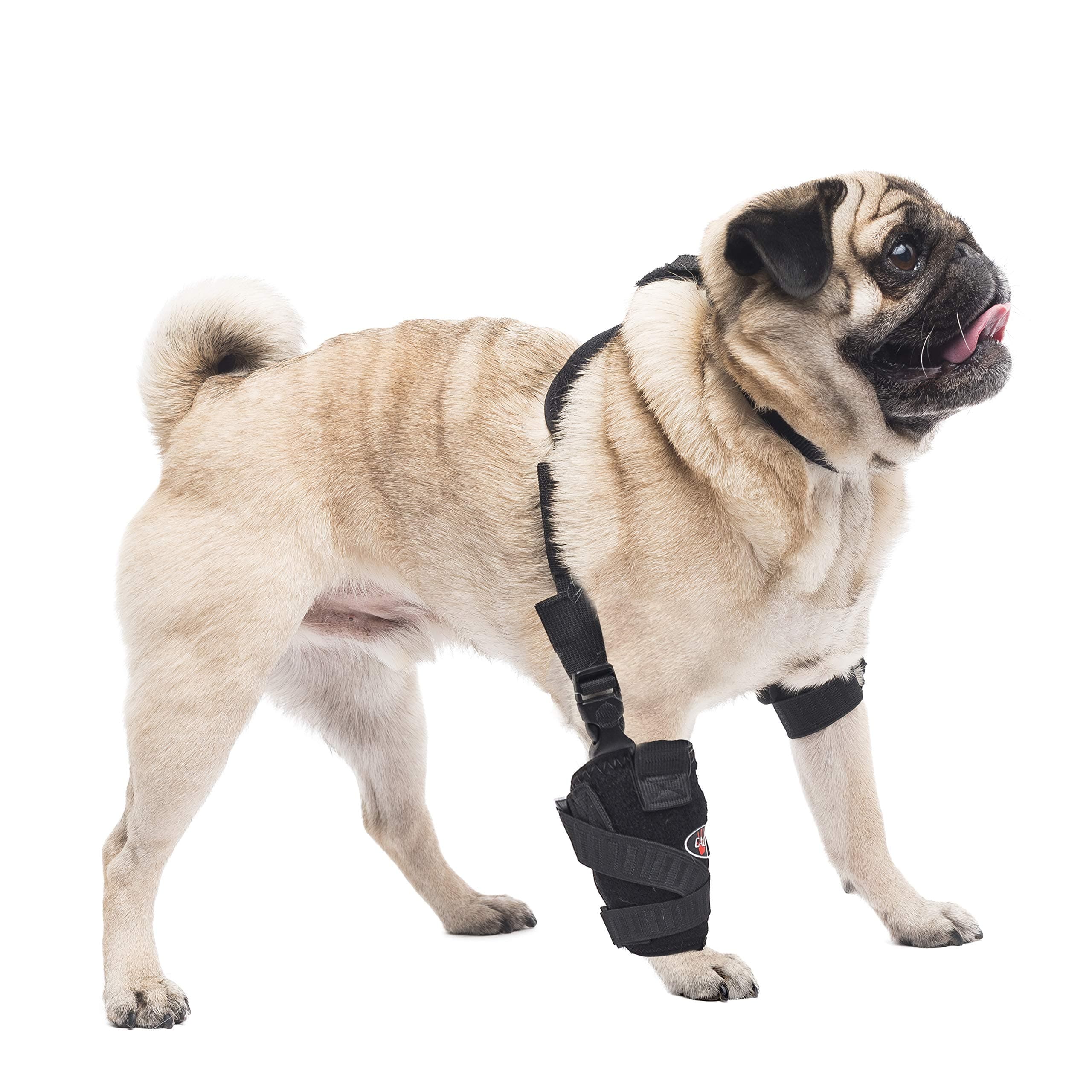 Universal Carpal & Elbow Pet Therapy Wrap