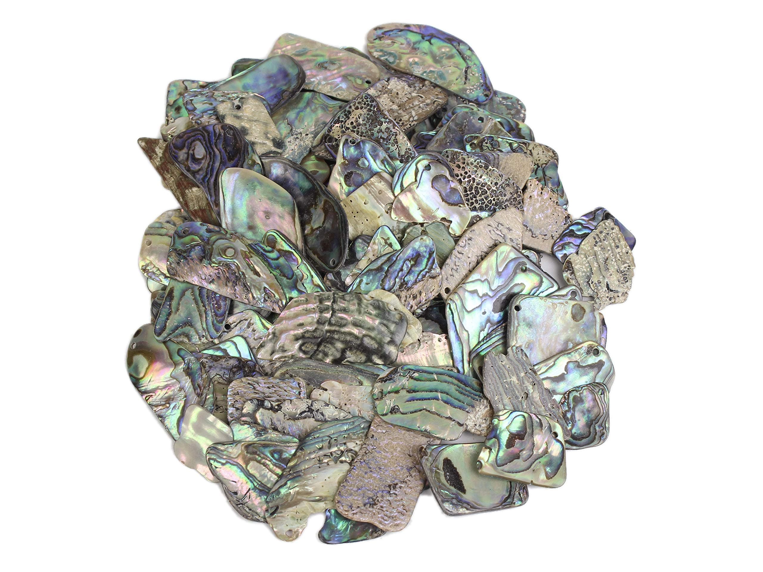Paua Shell Pieces Gloss Drilled: Large 1/4 lb (565Z-TPGDL-AS) L2