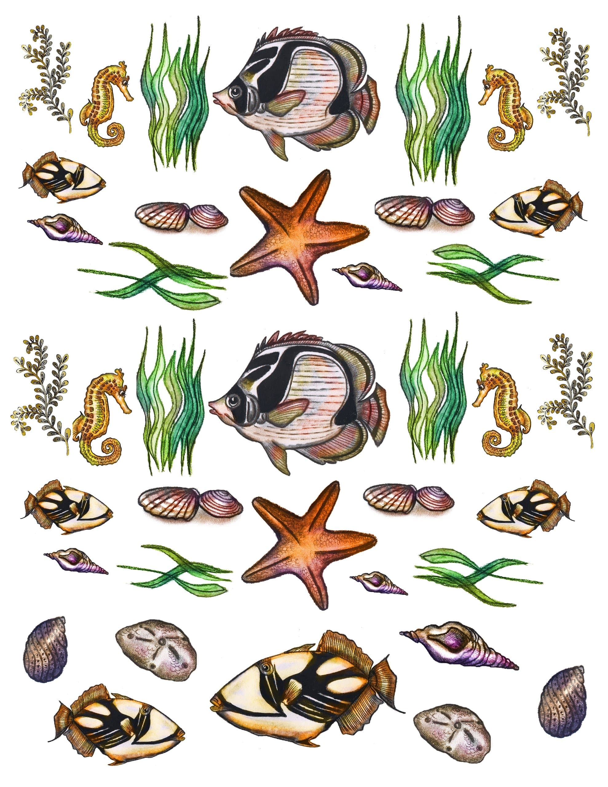 Bajidoo Ocean View Decal Full Sheet