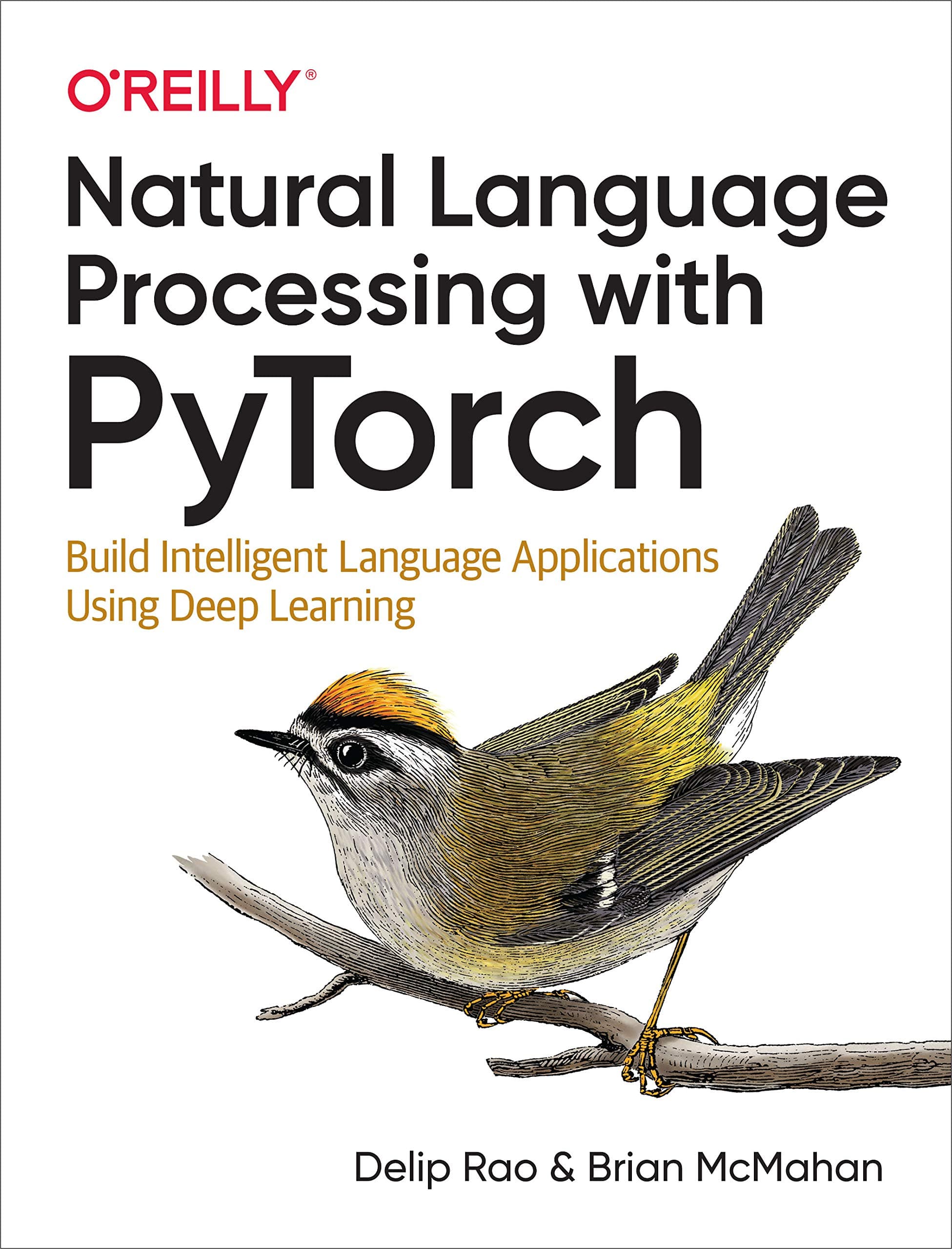 NATURAL LANGUAGE PROCESSING WITH PYTORCH