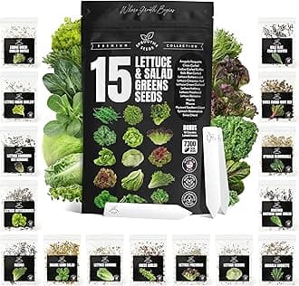 Lettuce & Salad Greens Seeds Variety Pack – Spinach, Kale, Arugula, Romaine & Iceberg Lettuce – 15 Varieties, 7300+ Non-GMO Heirloom Seeds, Indoor & Outdoor Growing