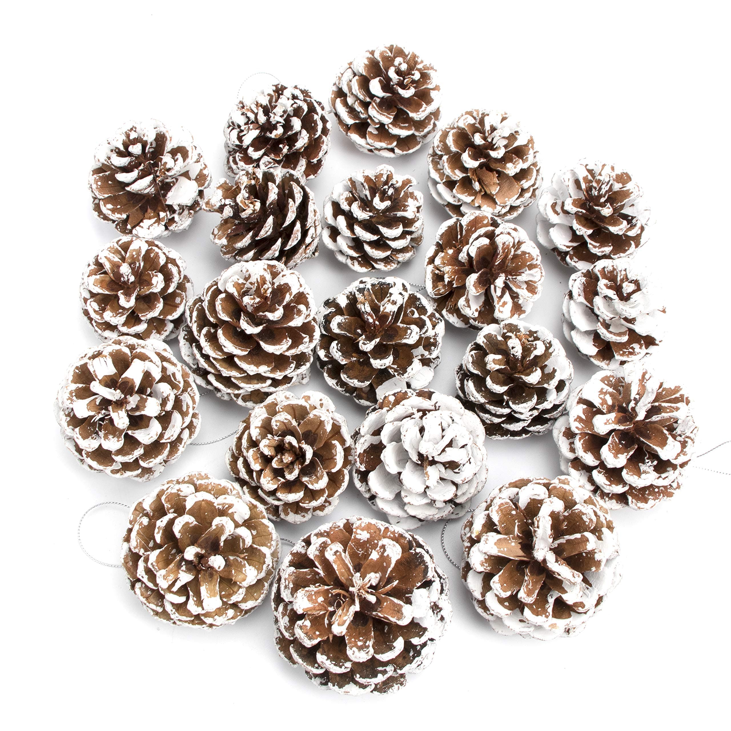 JEKOSEN 20PCS Large Pine Cones with Silver String for Home Decor Natural White Pine Cone for Crafts Christmas Trees Decoration Ornaments Pinecones