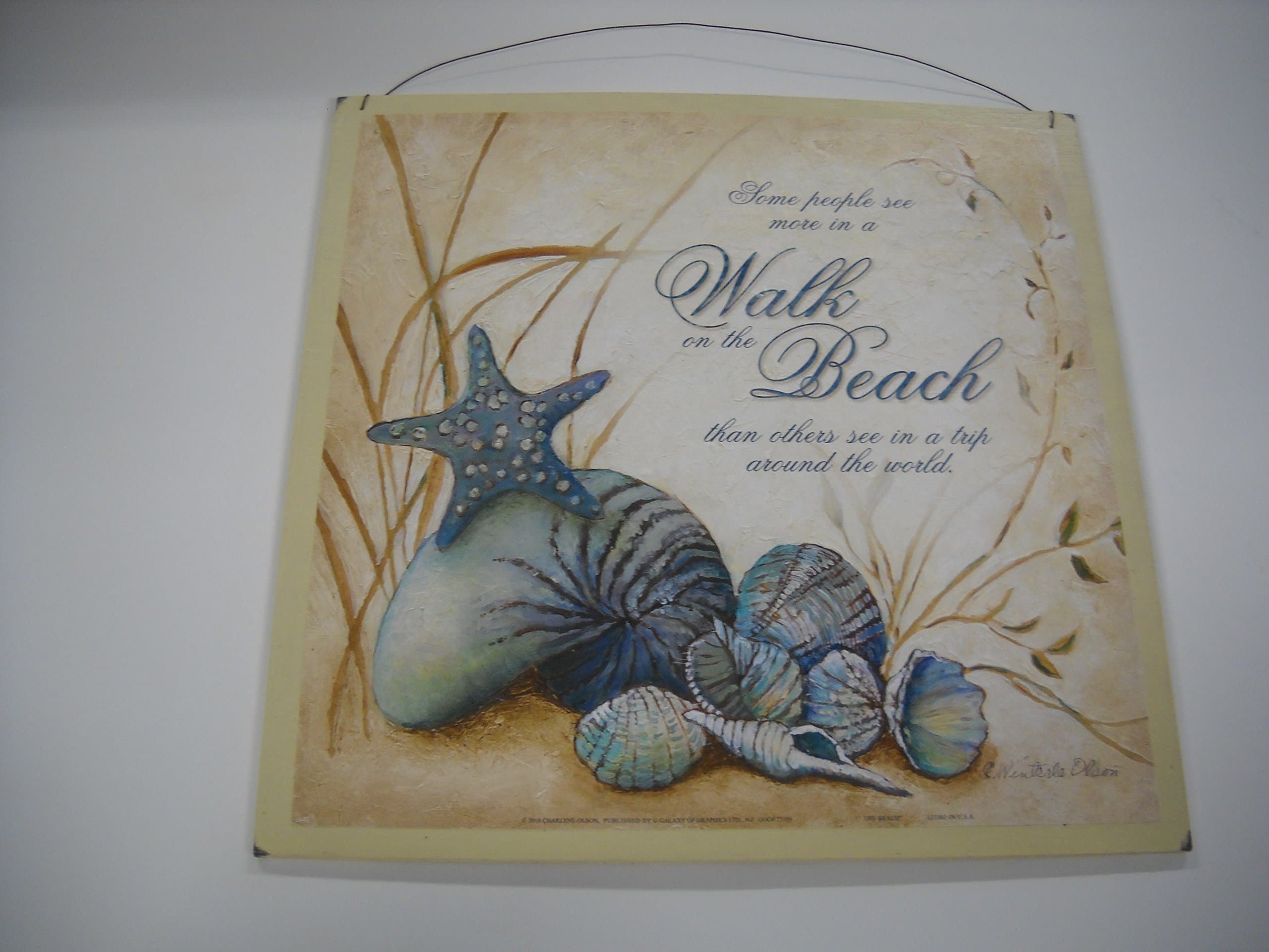 Some People See More in a Walk on Beach Than Others See in a Trip Around the World Wooden Wall Art Sign Starfish Shells Aqua Tan 9x9