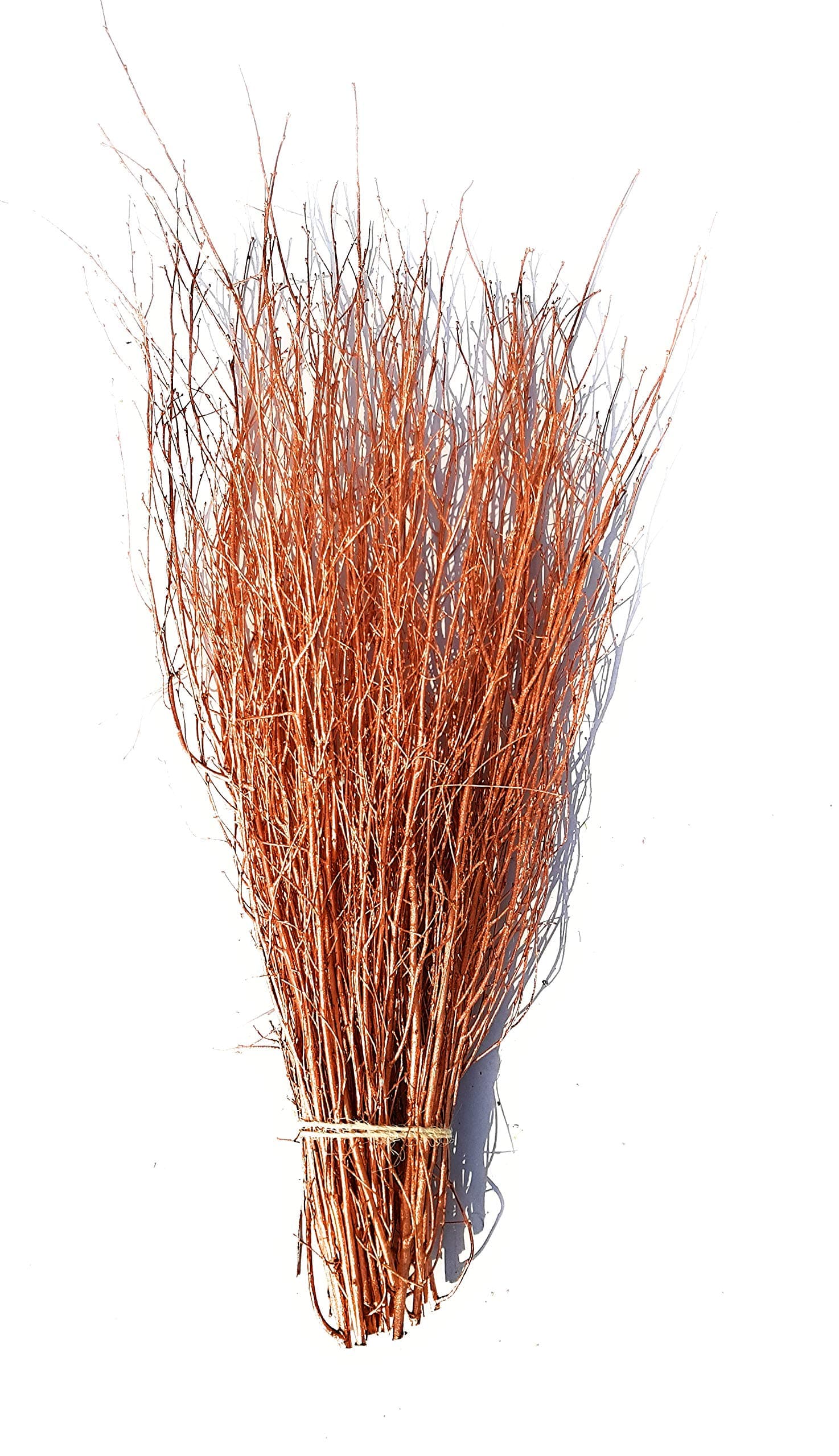 Decorative Coloured Birch Twigs and branches - Copper - 90cm's -25 Stems