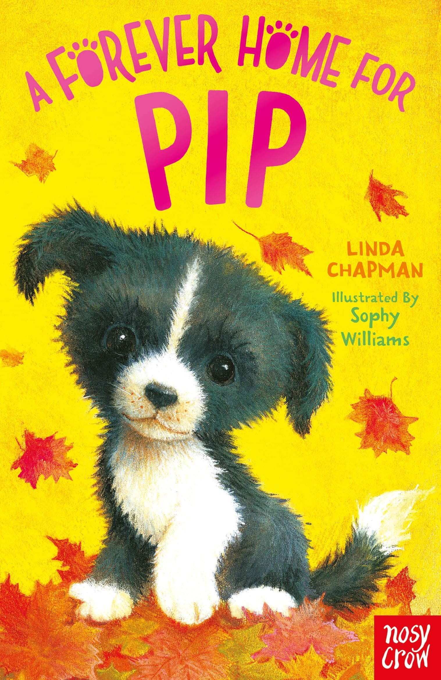 Nosy Crow Ltd A Forever Home for Pip