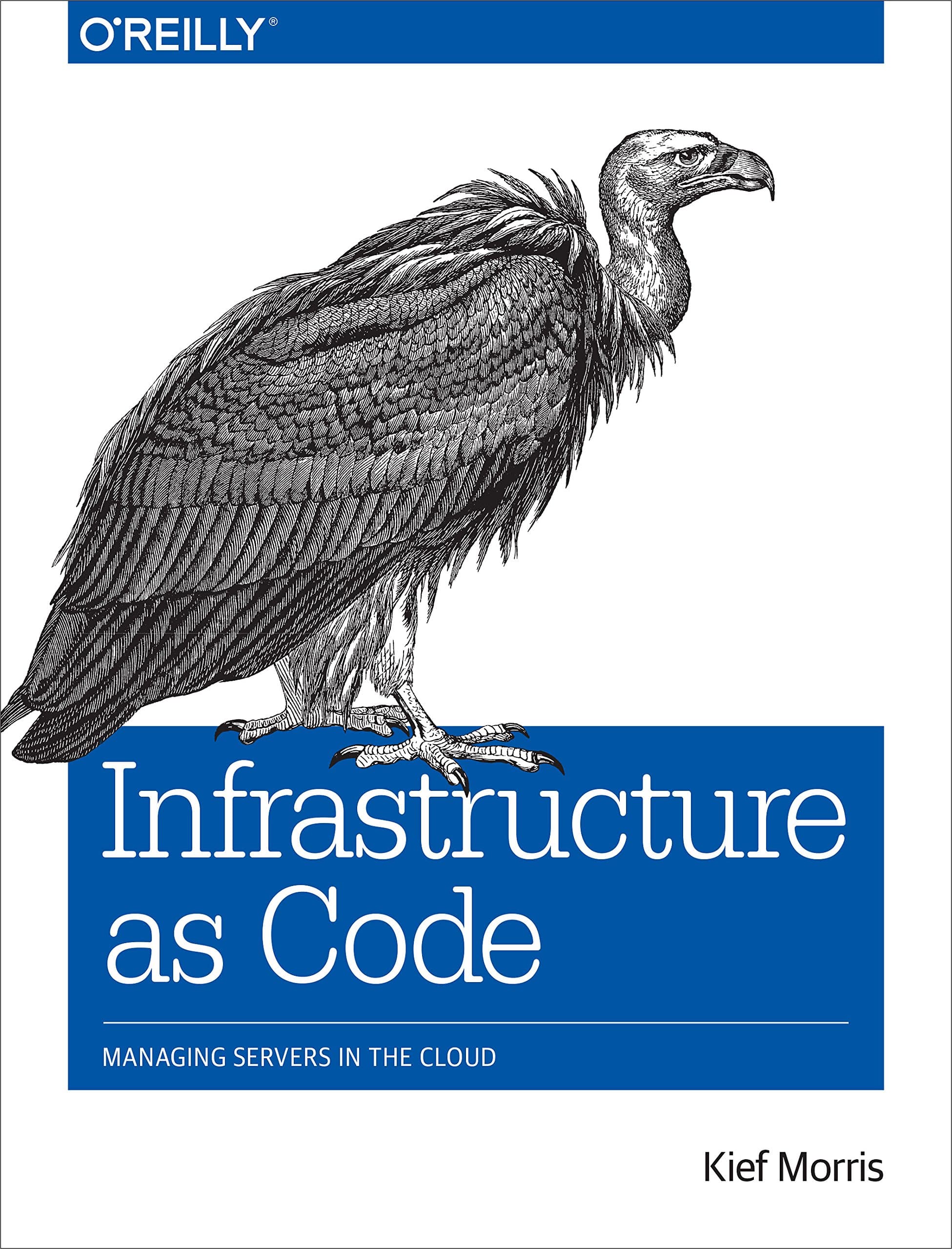 Infrastructure as Code: Managing Servers in the Cloud 1st Edition