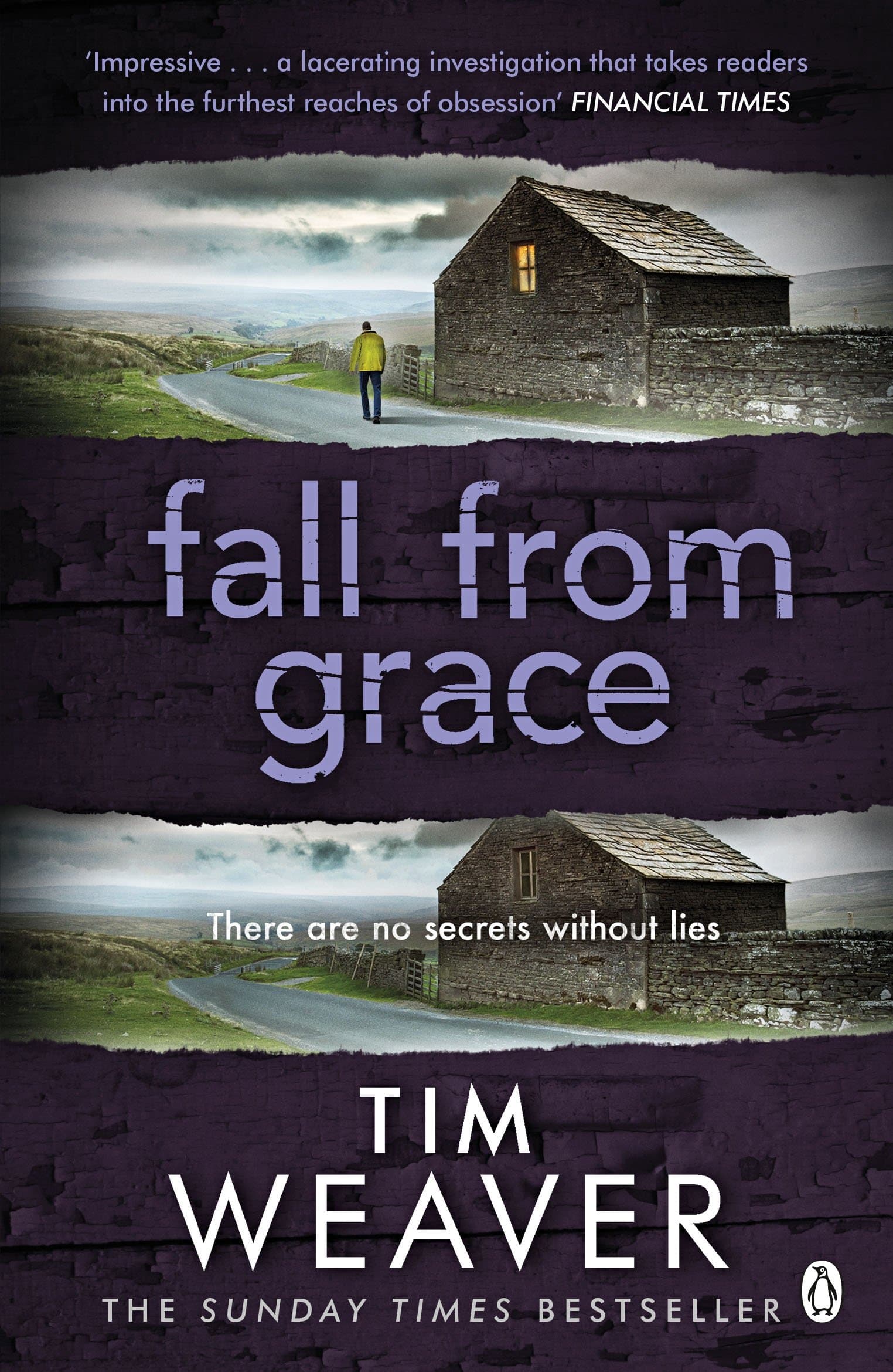 Fall from Grace: A David Raker Mystery