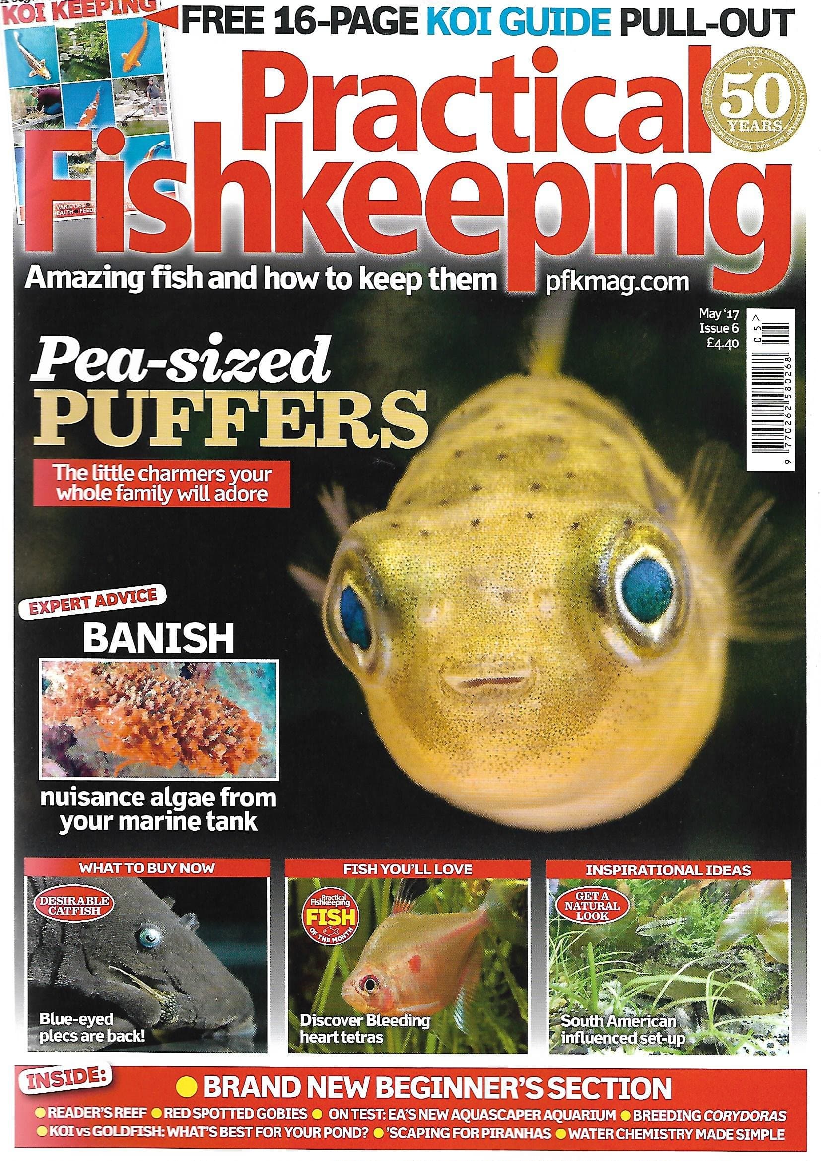 Practical Fishkeeping Magazine Issue 6 May 2017 Pea Puffers PFK