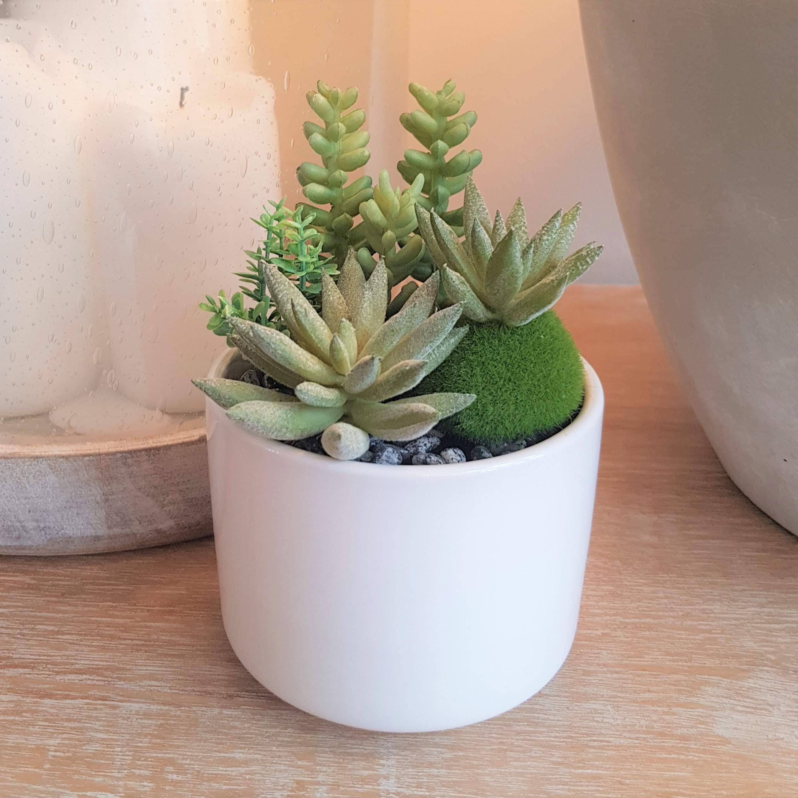 Ceramic White Planter with Artificial Succulent 7.5 x 10cm. Realistic Fake Plastic Plant with Impressive Detail in Fancy Pot Requires No Care. Perfect for Home & Office