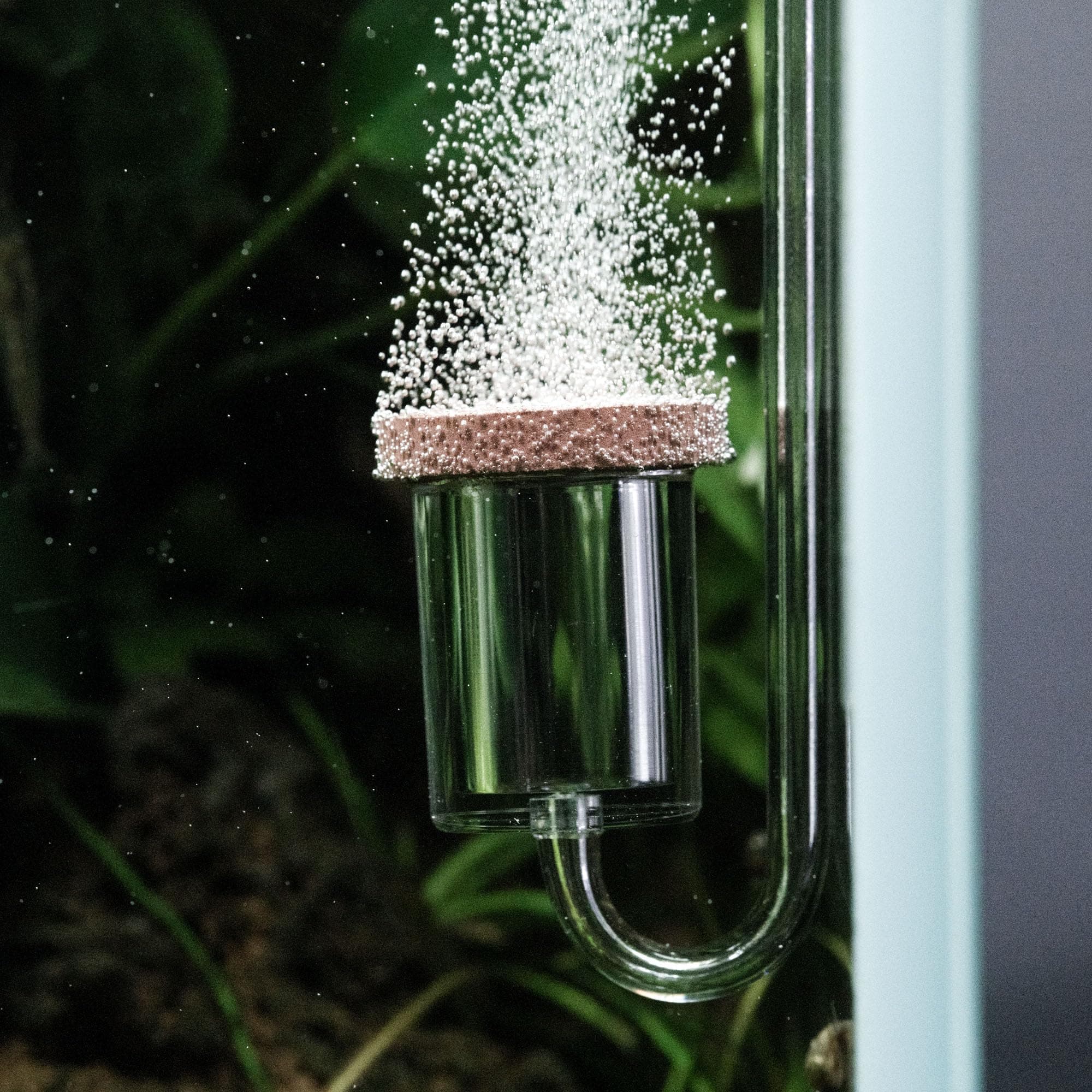 Neo CO2 Aquarium Diffuser - CO2 Diffuser Aquarium Kit, CO2 Diffuser for Aquarium Plants, CO2 System for Aquarium - Normal Original Diffuser, Large