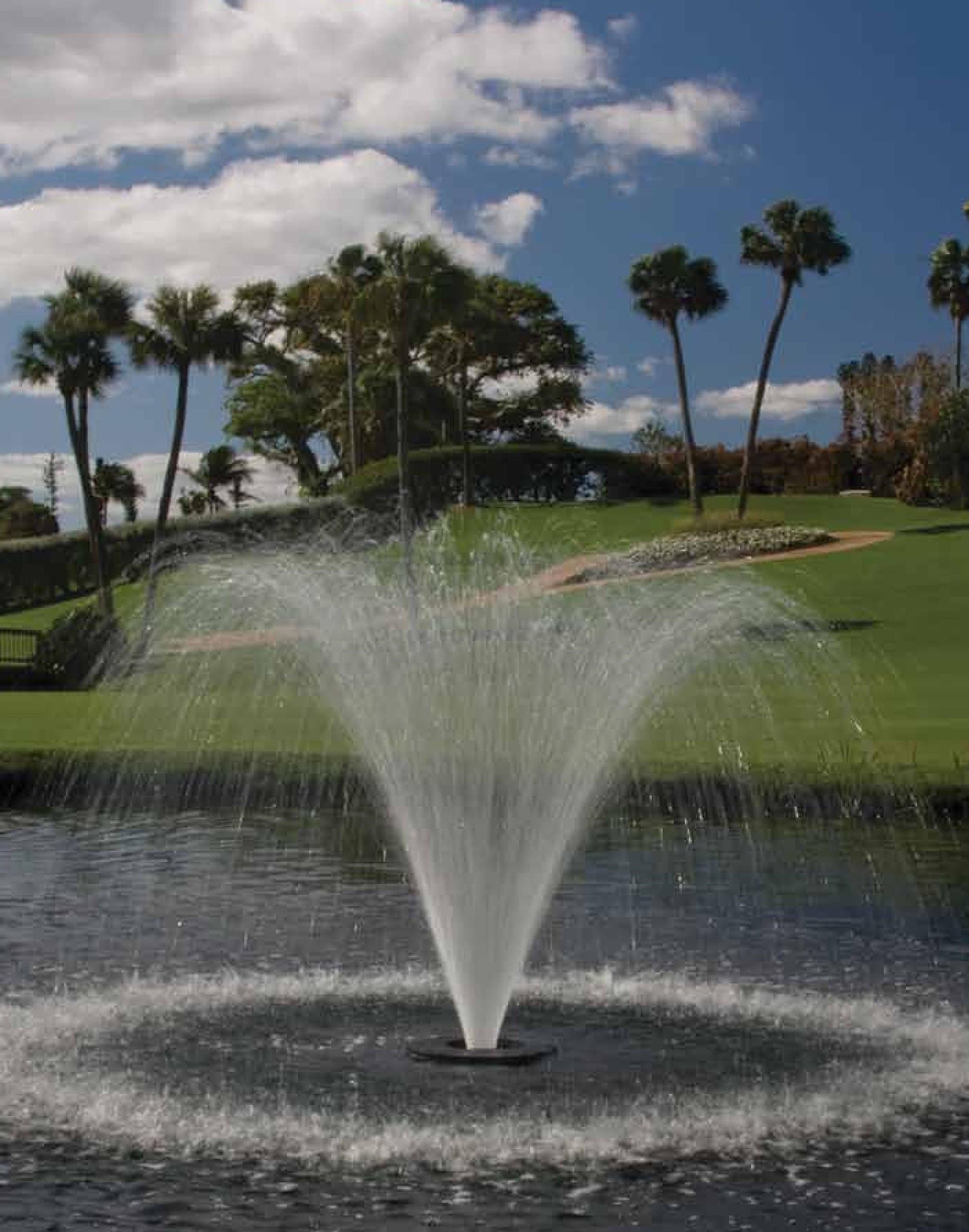 Aqua Control Evolution Series 1/2 Hp Floating Fountain with 50' Motor Cord