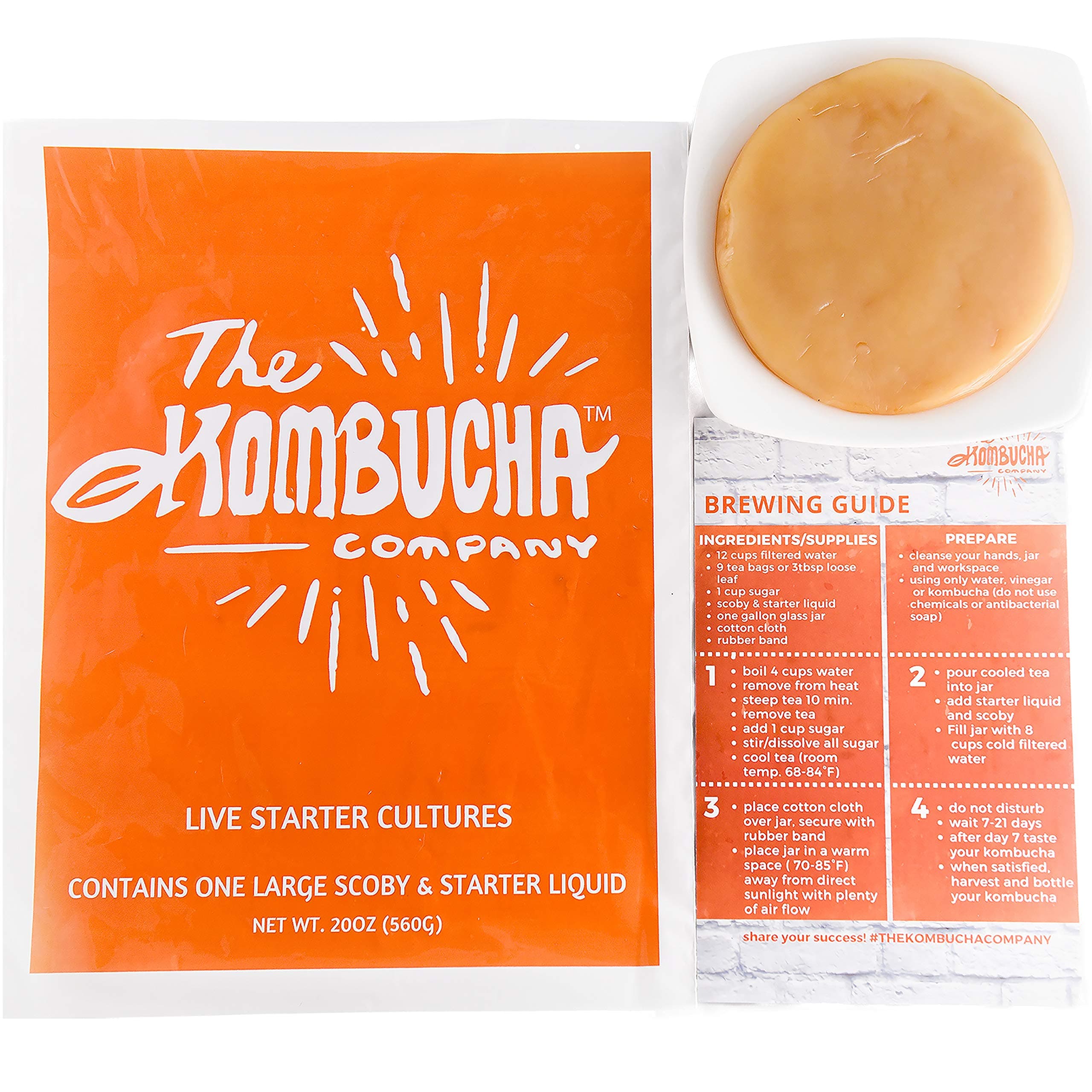 2x Large Kombucha SCOBY each with 16oz (2 Cups) Strong LIVE Starter TEA and LIVE Cultures by -The Kombucha Company (Makes 2 Gallons)