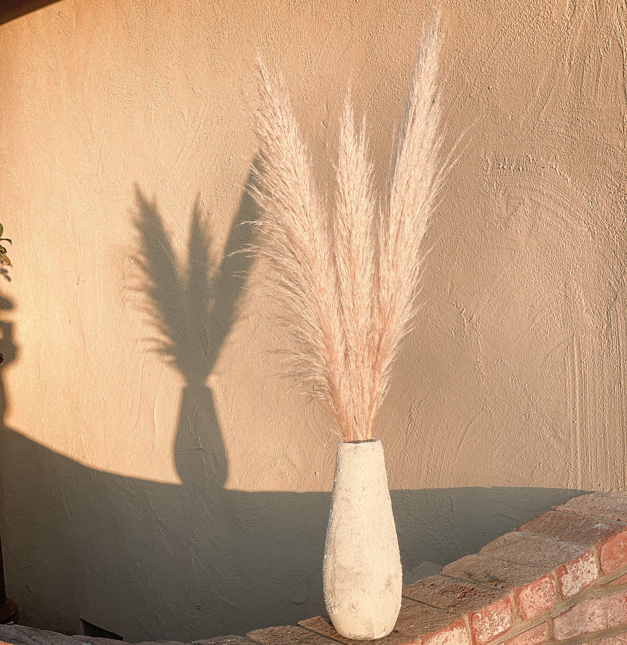 Bundle of Pampas Grass | Home Decor | BOHO Wedding Decor