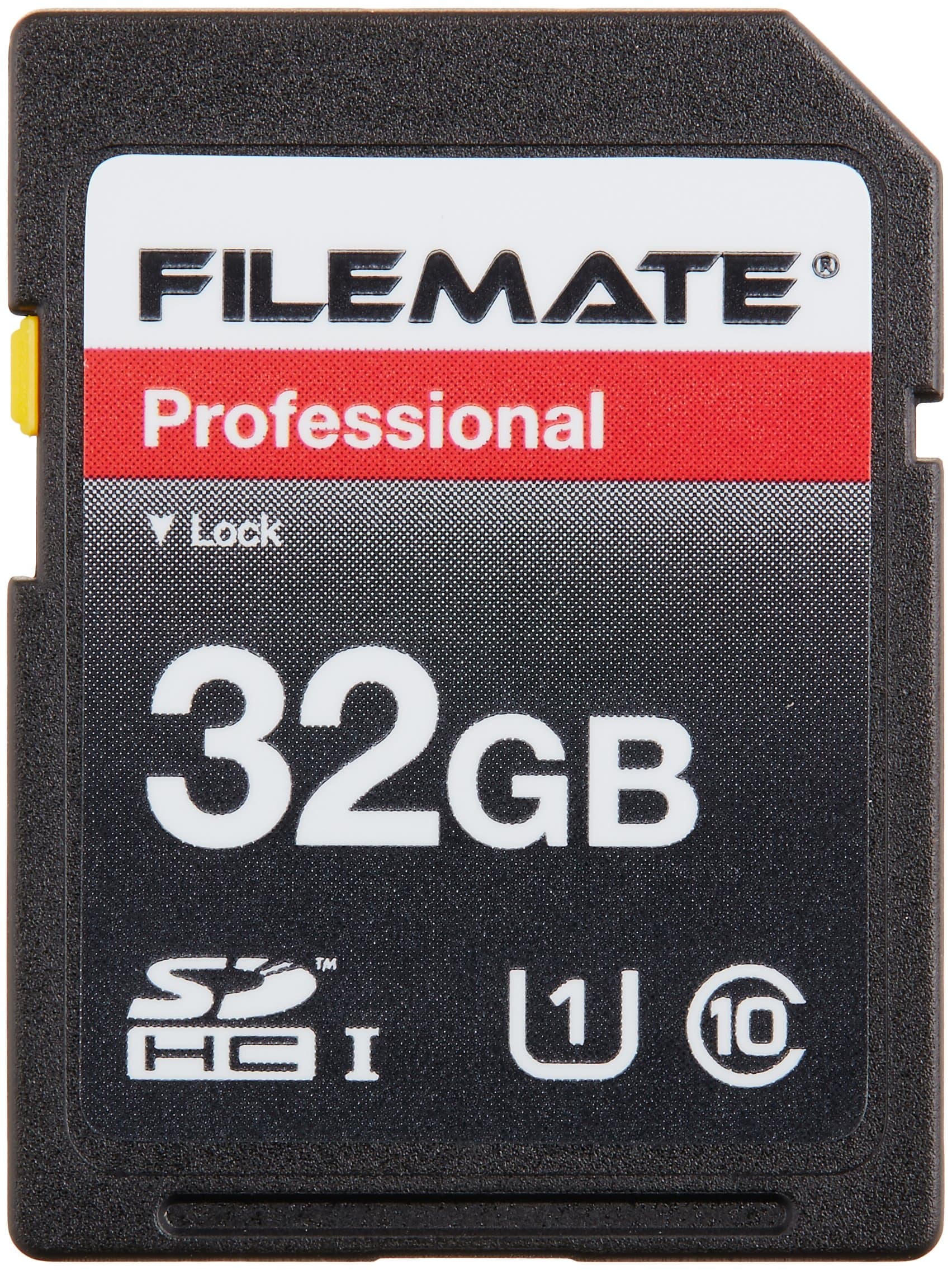 Wintec Filemate 32 GB Professional Class 10 Secure Digital SDHC Card