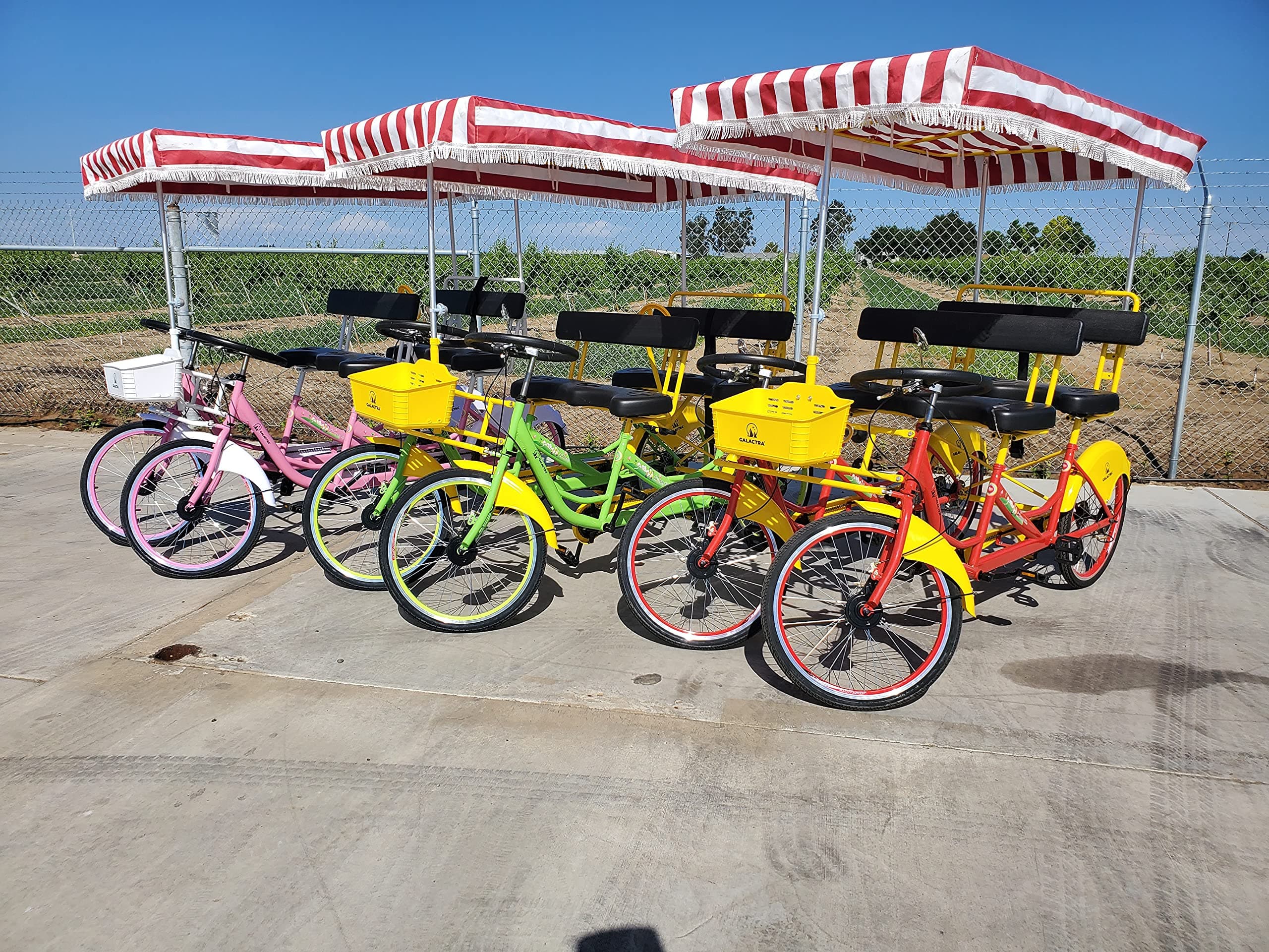 4 Person Bicycle - Surrey Bicycle