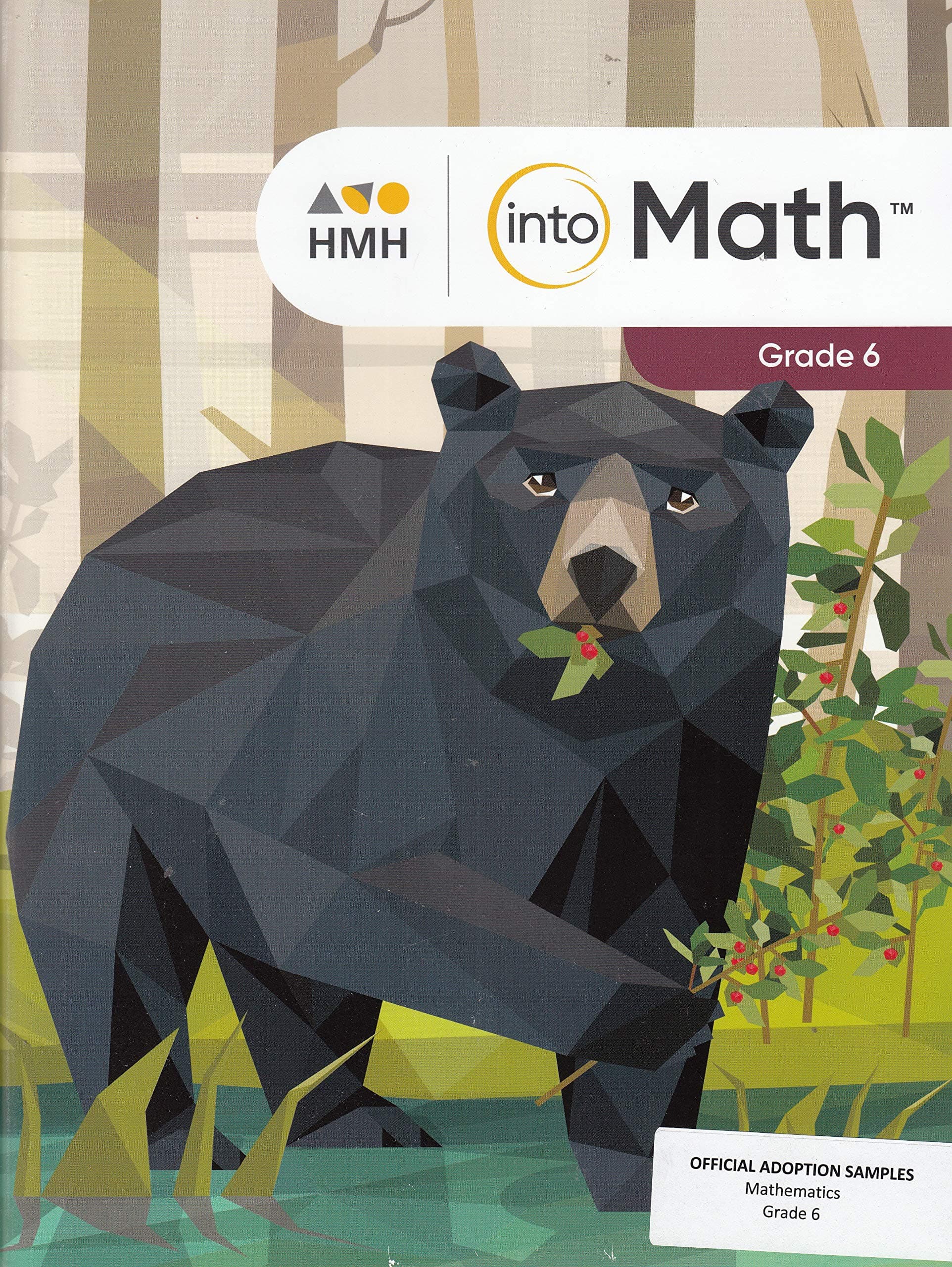 Student Edition Grade 6 2020 (Into Math Vrs1)