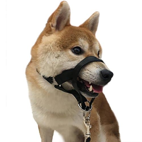 Dog Head Collar Durable No Pain No Pull Halter No-Pull Painless Training Collars (M(13"-15"), Black)