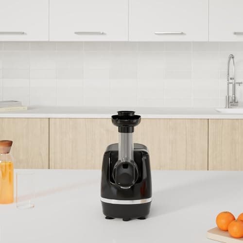 Omega H3000D Cold Press 365 Juicer Slow Masticating Extractor