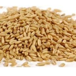 Grains Groats Not Roasted - Single Bulk Item - 25LB