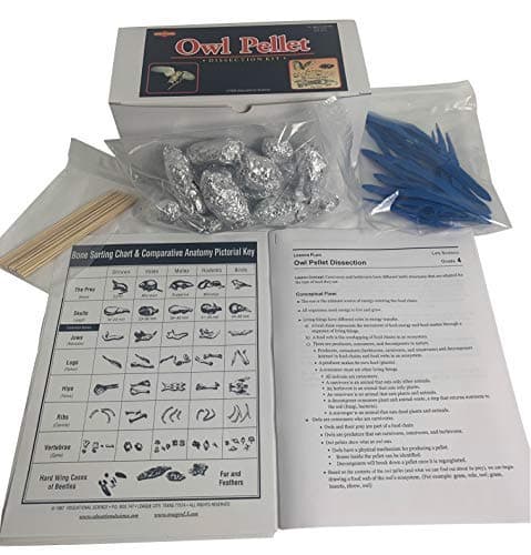EDUCATIONAL SCIENCE WE ENABLE DISCOVERY Classroom Owl Pellet Kit, 30 Pellets, OP102-30