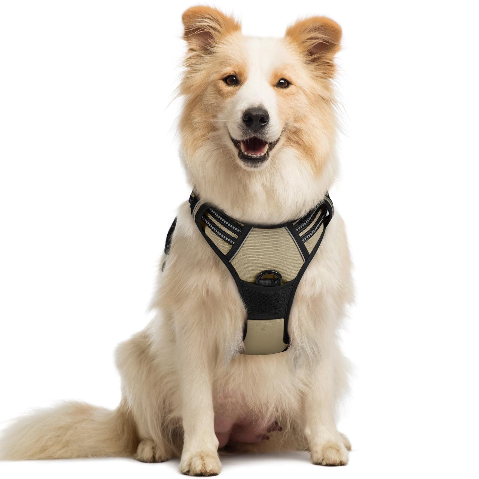 rabbitgoo Dog Harness Medium No Pull Pet Harness with 2 Leash Clips, Adjustable Soft Padded Pet Vest, Reflective No-Choke with Easy Control Handle for Training or Walking, Coffee, M