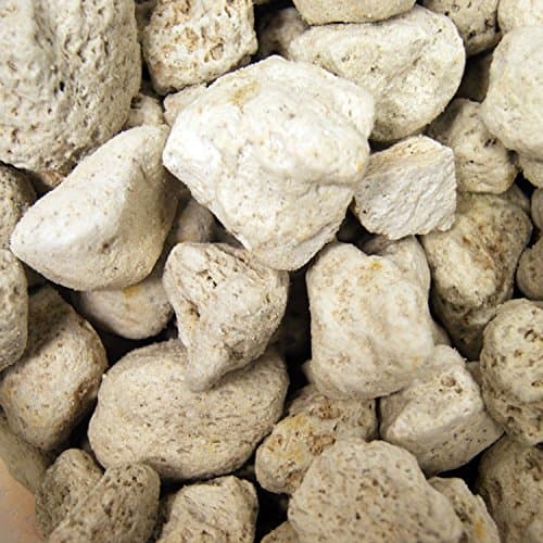 Queni Koi - Pumice Stone (10kg)